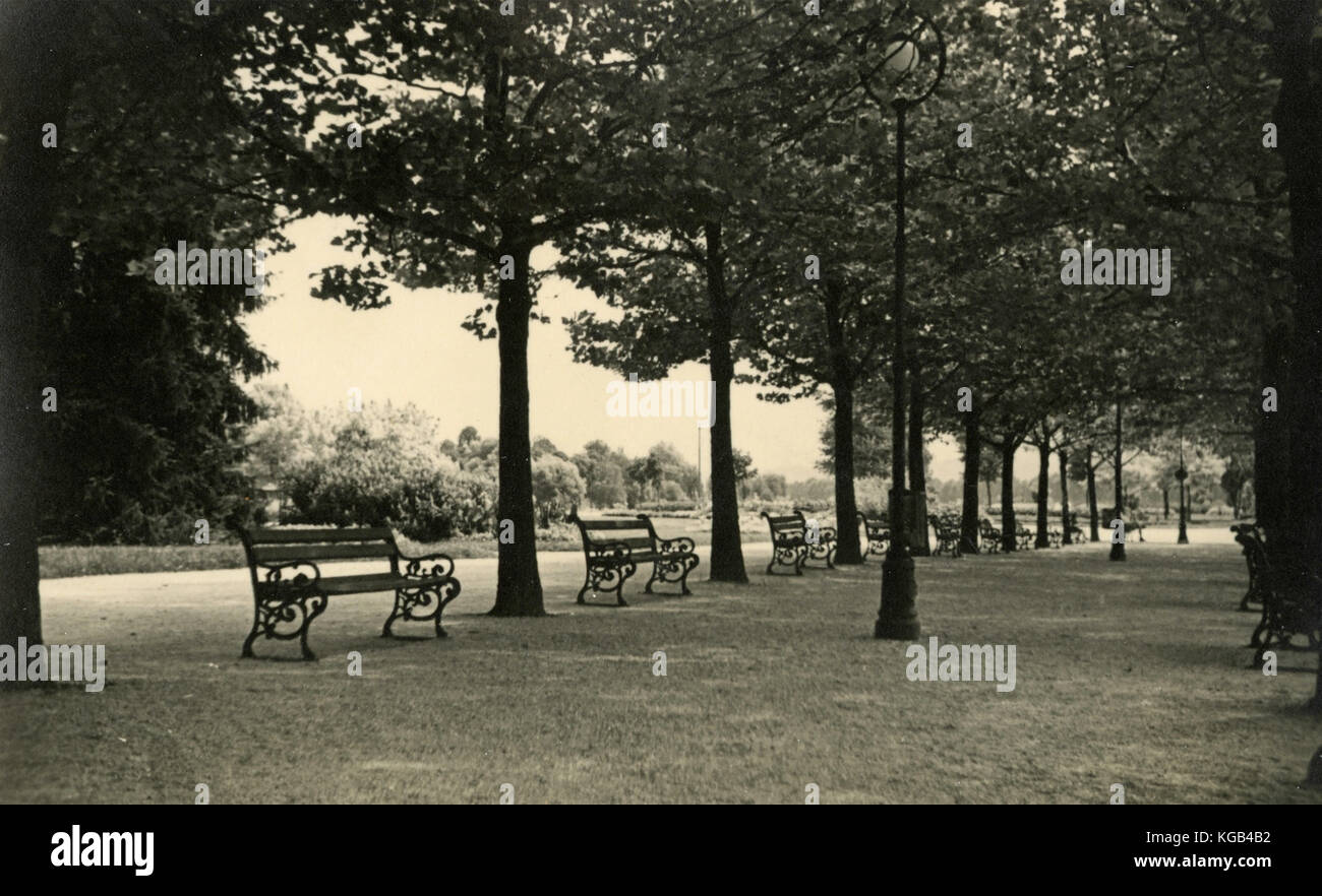 Benches in the park Stock Photo - Alamy