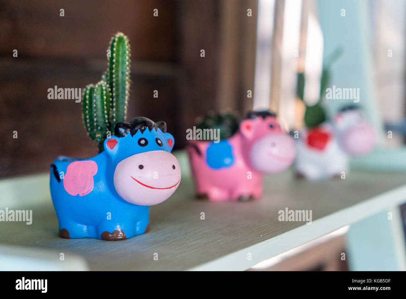Chiang Rai, Thailand - toy cactus Stock Photo