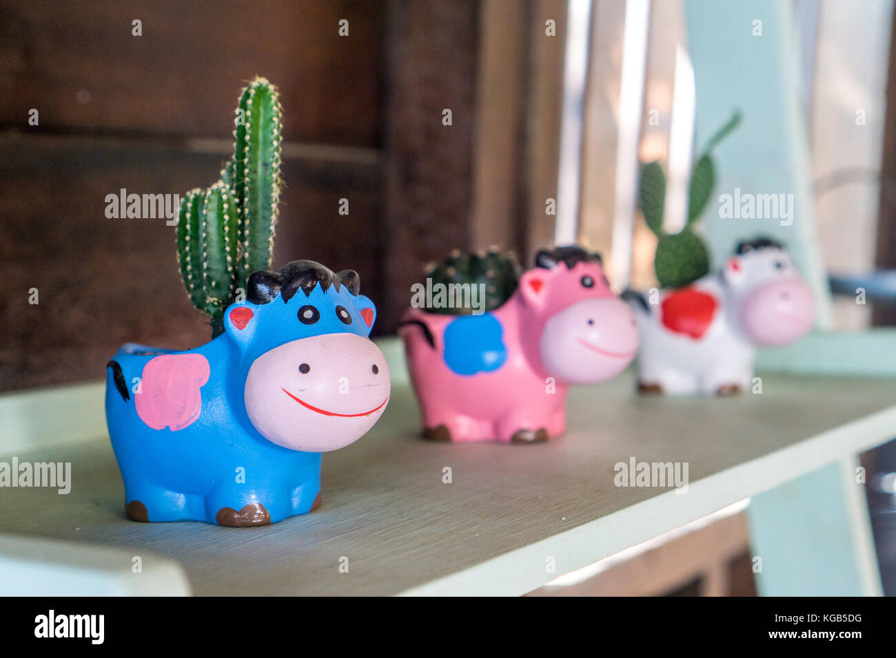 Chiang Rai, Thailand - toy cactus Stock Photo