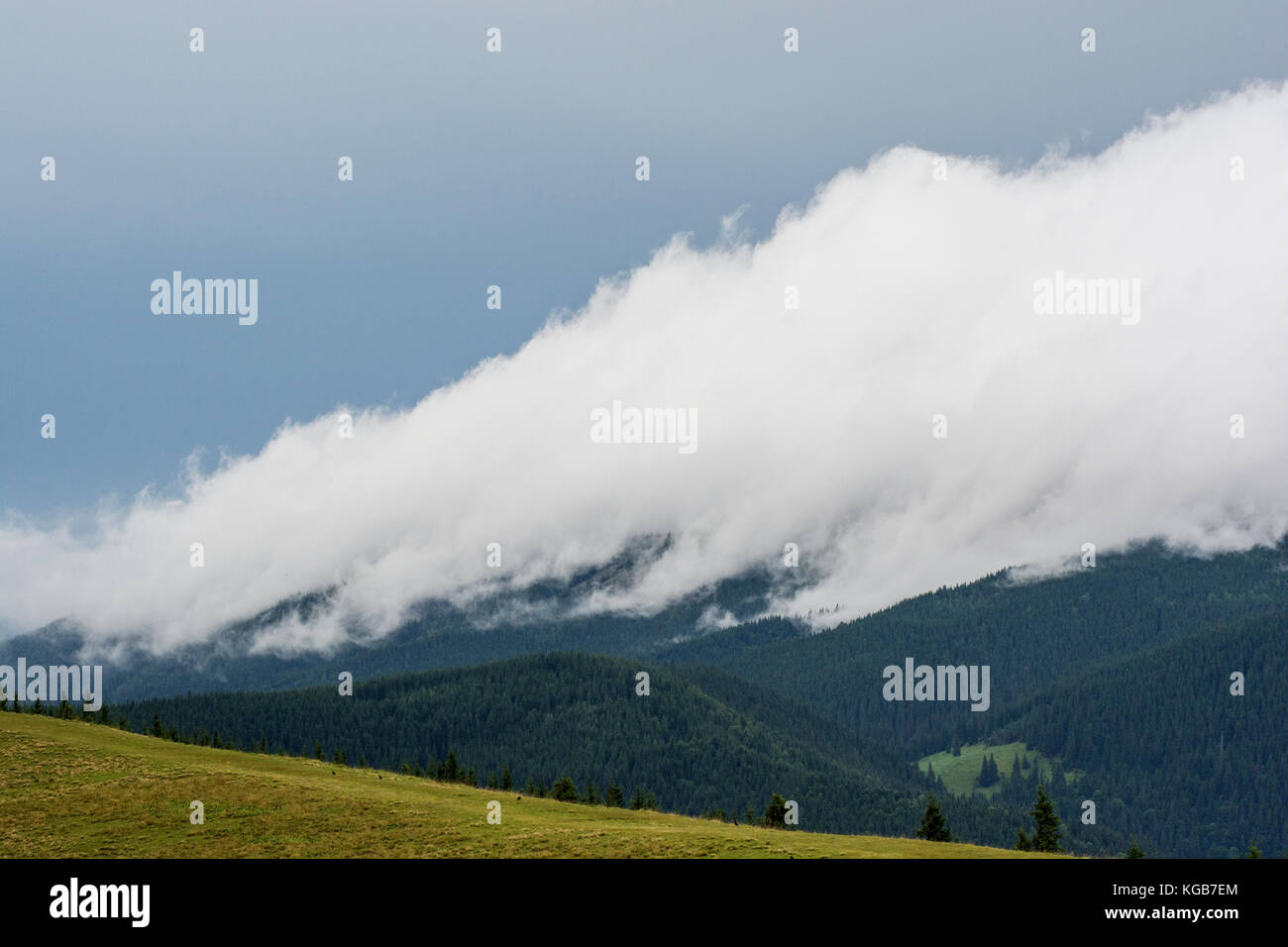Mist shrouded woods hi-res stock photography and images - Alamy
