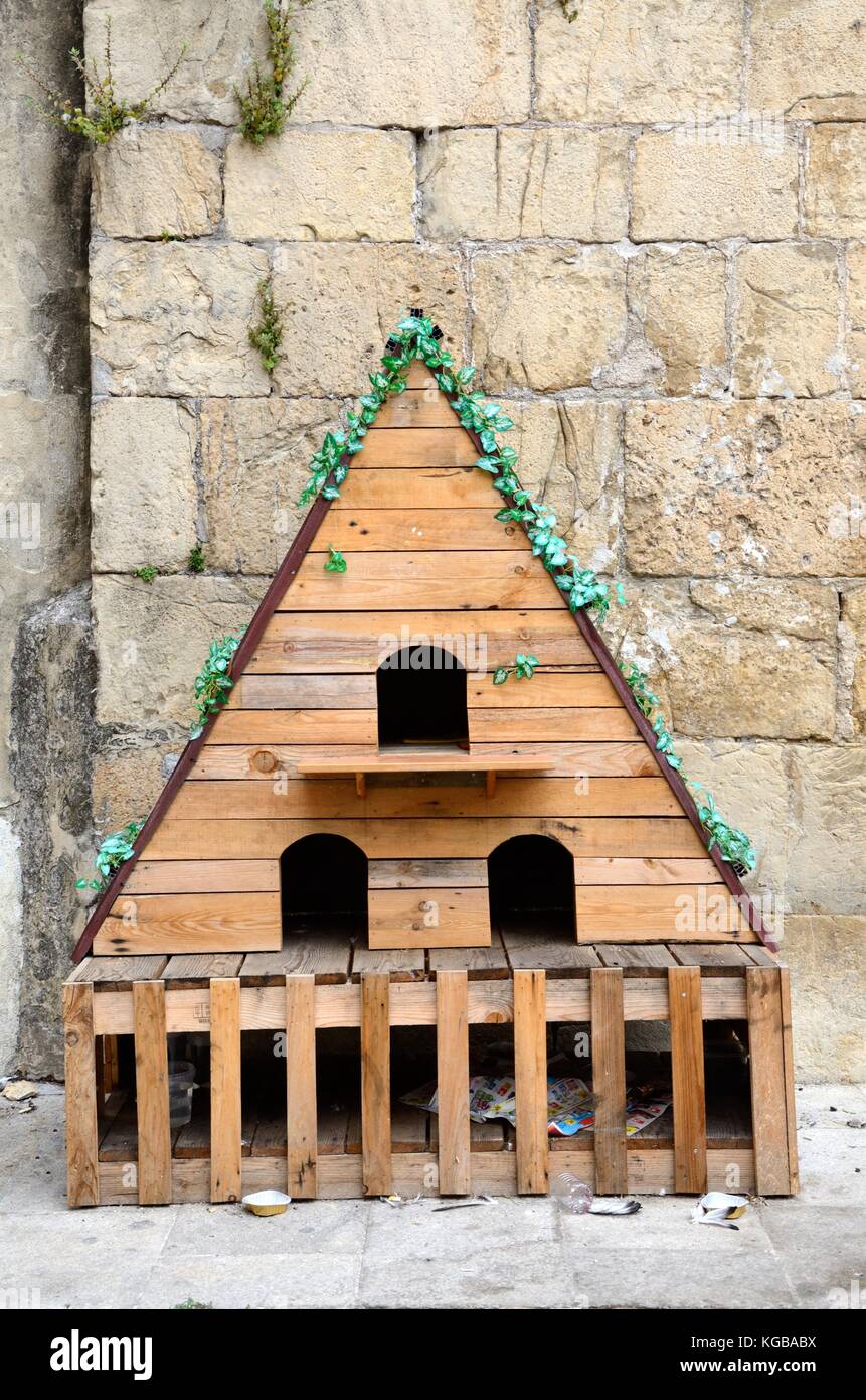 A shelter for stray homeless cats feral cats on the street in Coimbra Portugal Stock Photo