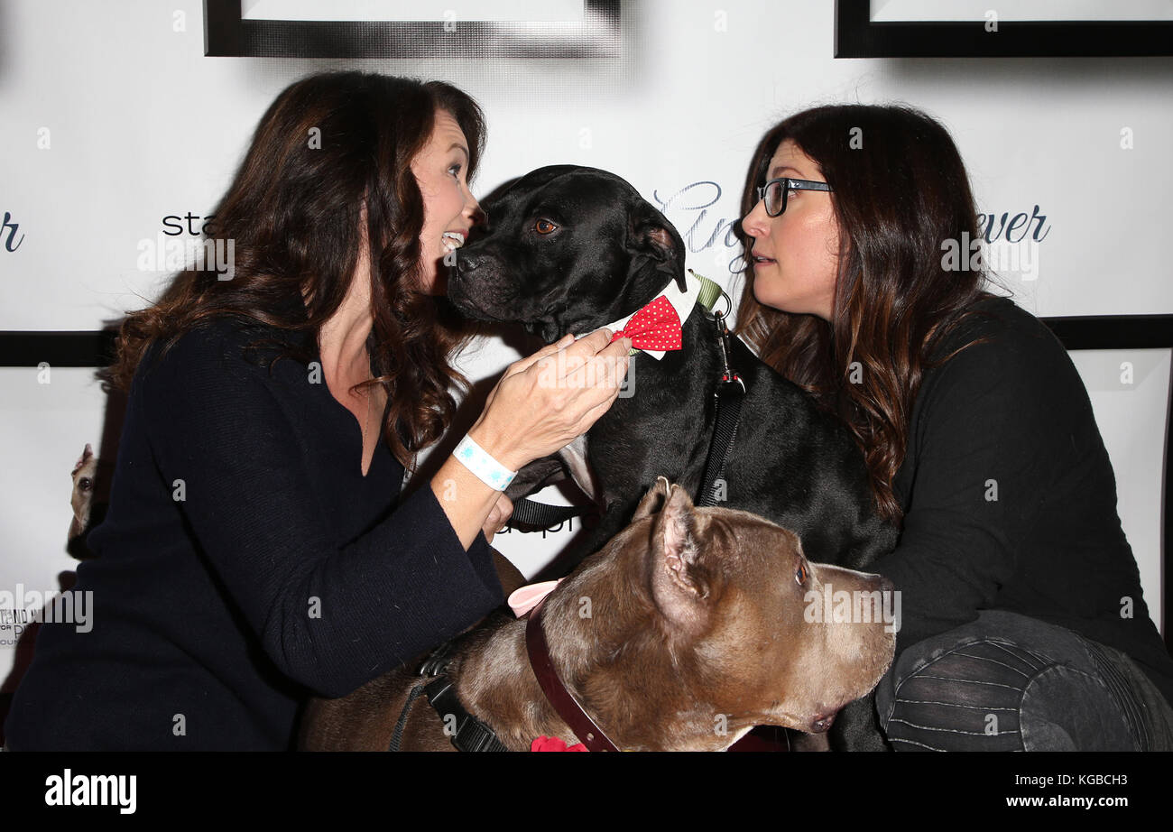 Hollywood, Ca. 5th Nov, 2017. Kristin Davis, Rebecca Corry, at 7th