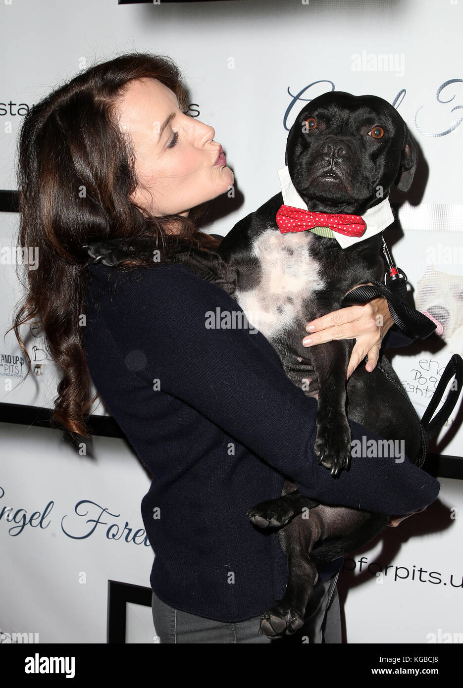 Hollywood, Ca. 5th Nov, 2017. Kristin Davis, at 7th Annual Stand Up For