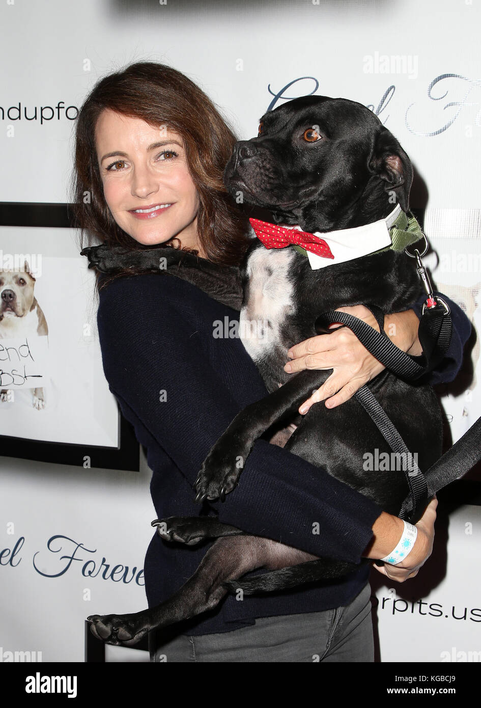 Hollywood, Ca. 5th Nov, 2017. Kristin Davis, at 7th Annual Stand Up For