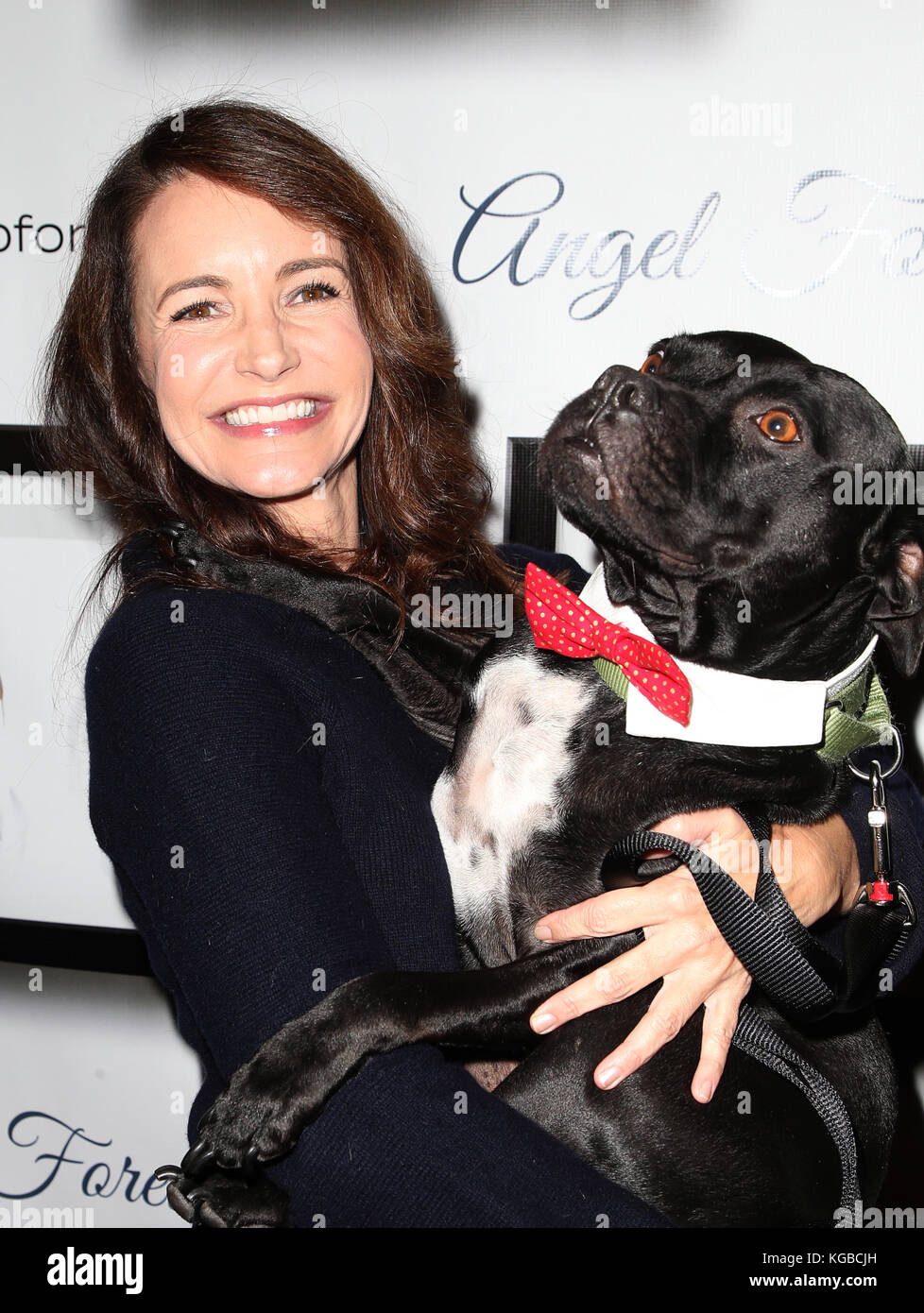 Hollywood, Ca. 5th Nov, 2017. Kristin Davis, at 7th Annual Stand Up For