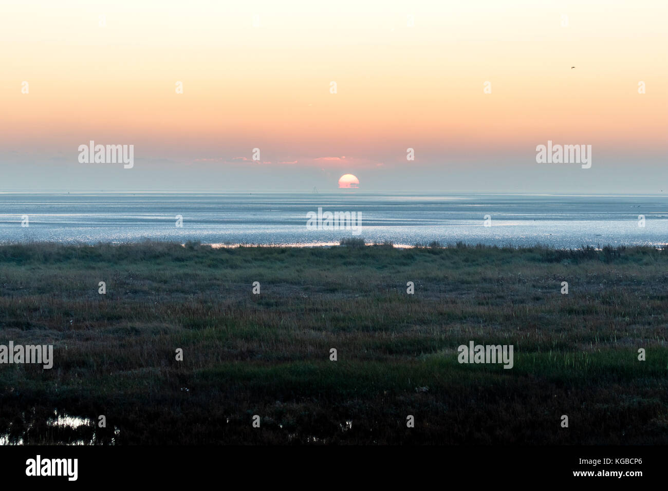 Sun rising over the sea with salt water spartina grass marsh in foreground. Faint cloud on horizon, sky clear above. Calm sea. Pegwell Bay, at Ramsgate, England. Stock Photo