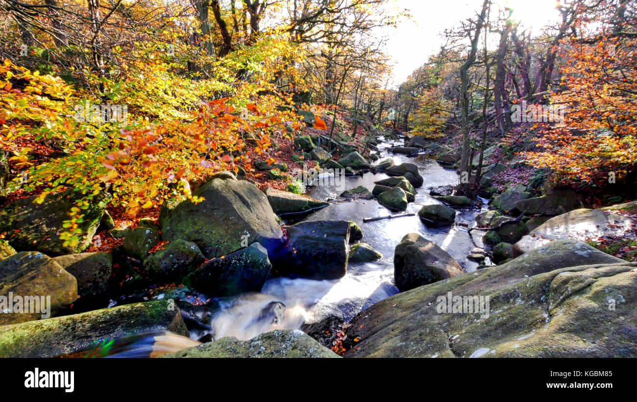 Padley Gorge, Grindleford, Peak District National Park, Derbyshire, UK. 5th October, 2017. UK Weather: Autumn leaves starting to turn and fall in the stunning scenic Padley Gorge, Grindleford, Peak District National Park, Derbyshire UK Weather Credit: Doug Blane/Alamy Live News Stock Photo