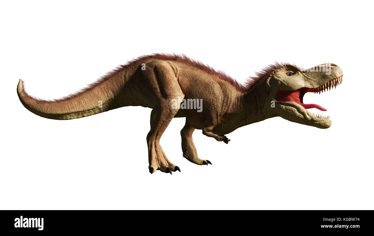 Tyrannosaurus rex, T-rex dinosaur from the Jurassic period (3d render isolated on white background) Stock Photo