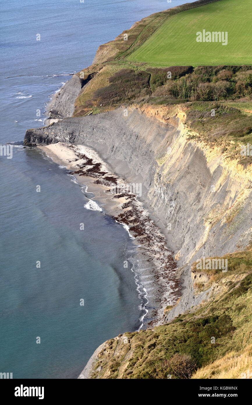 The coastal sweep of Egmont Bight from Houns-tout near Chapman's Pool and Kimmeridge on the Jurassic Coast, Dorset UK Stock Photo