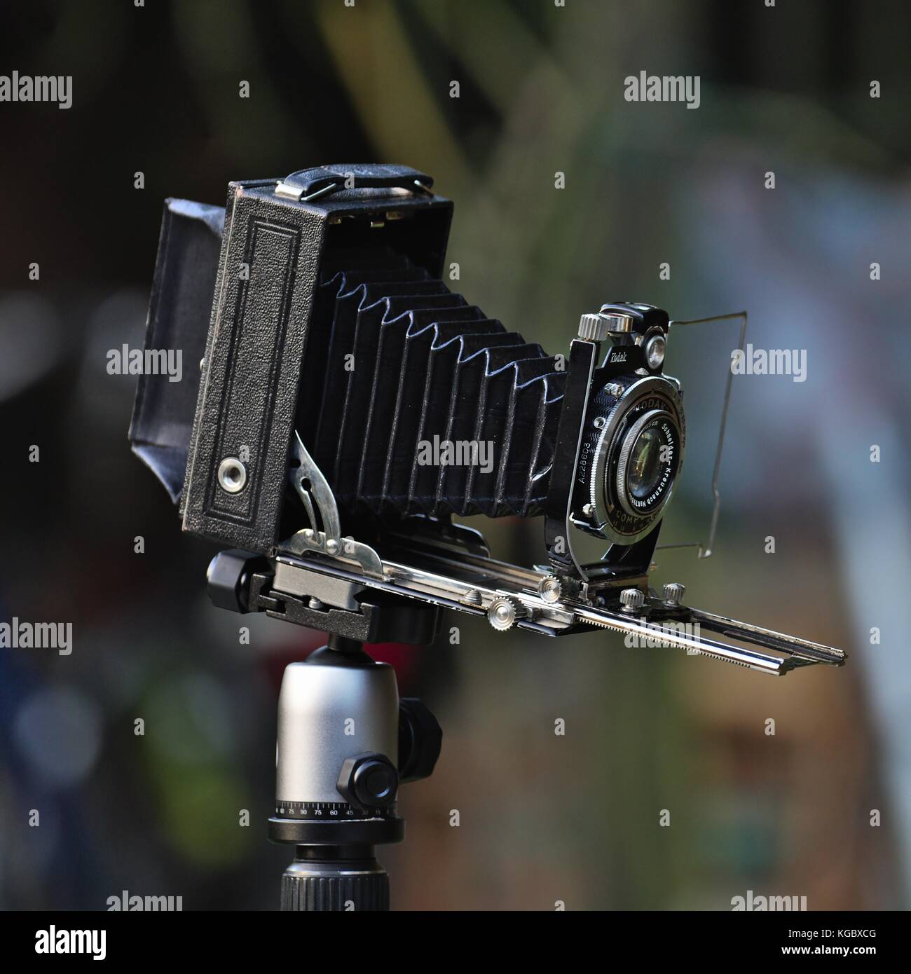 Kodak bellows pocket / travel camera Stock Photo Alamy