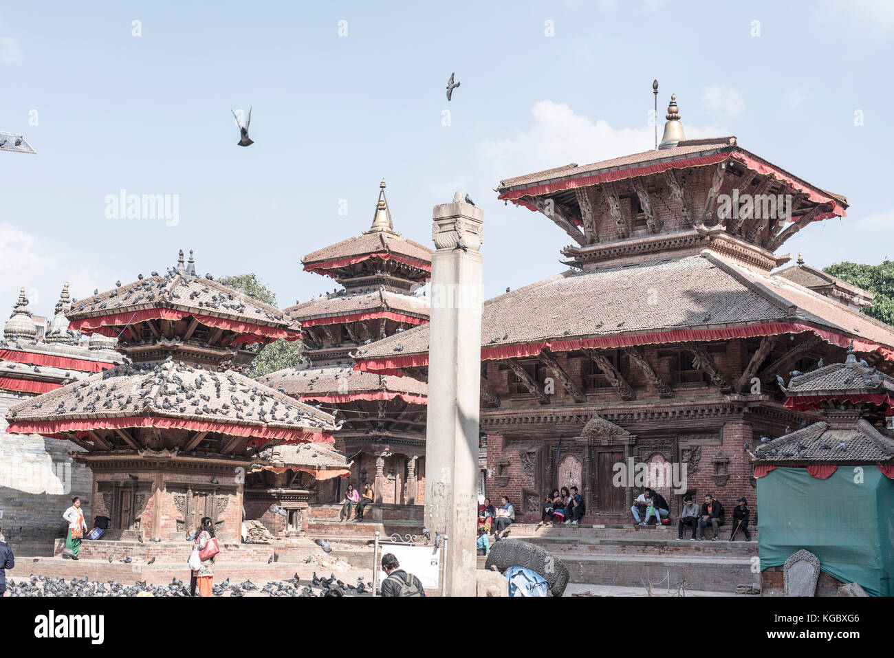 Temples covered with pigeon in Kathmandu durbar square, Basantapur, Kathmandu Nepal Stock Photo