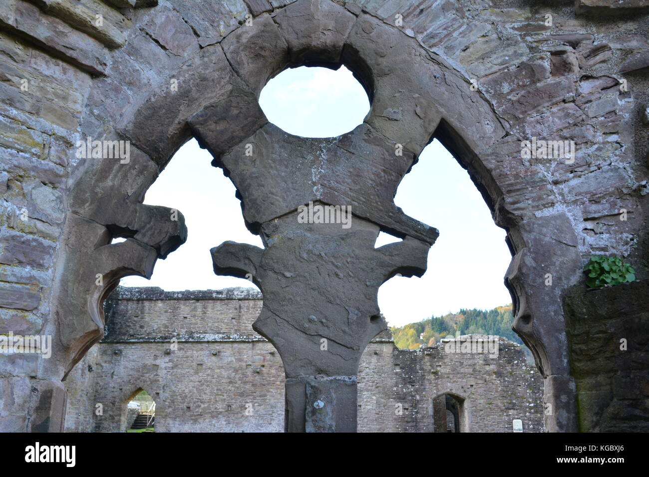 Tintern Abbey Monmouthshire UK Wales re monastries dissolution architectural detail ancient ruins Stock Photo