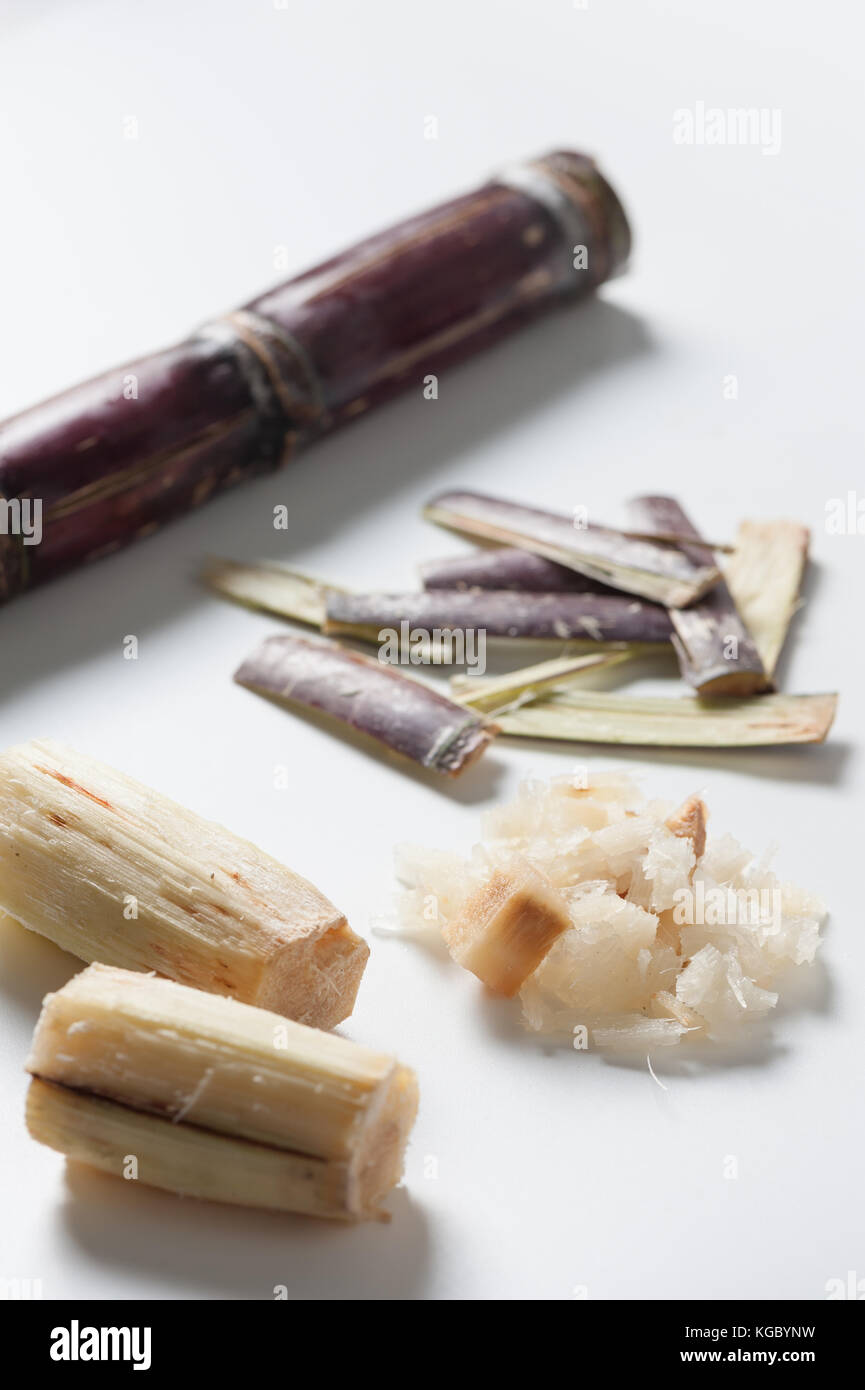 Sugar cane (Saccharum officinarum) components including bagasse, trunk, on white table. Organic agriculture products and zero-waste kitchen concept. Stock Photo