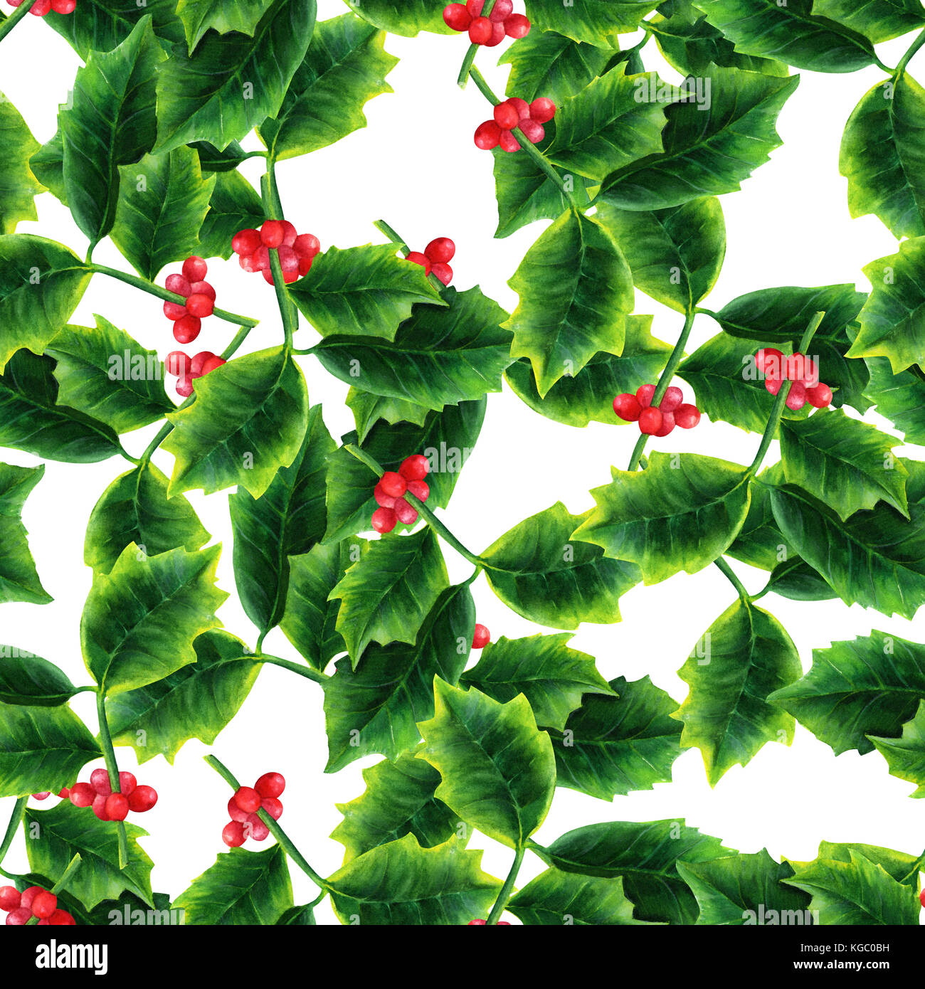Seamless pattern with watercolor drawing of Christmas holly Stock Photo ...