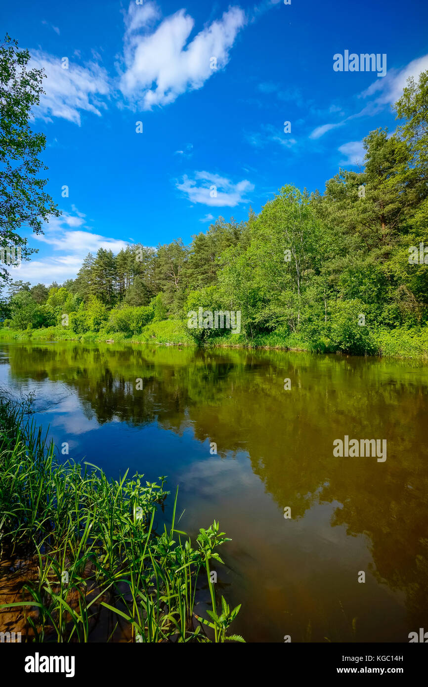 River in the forest landscape Stock Photo - Alamy