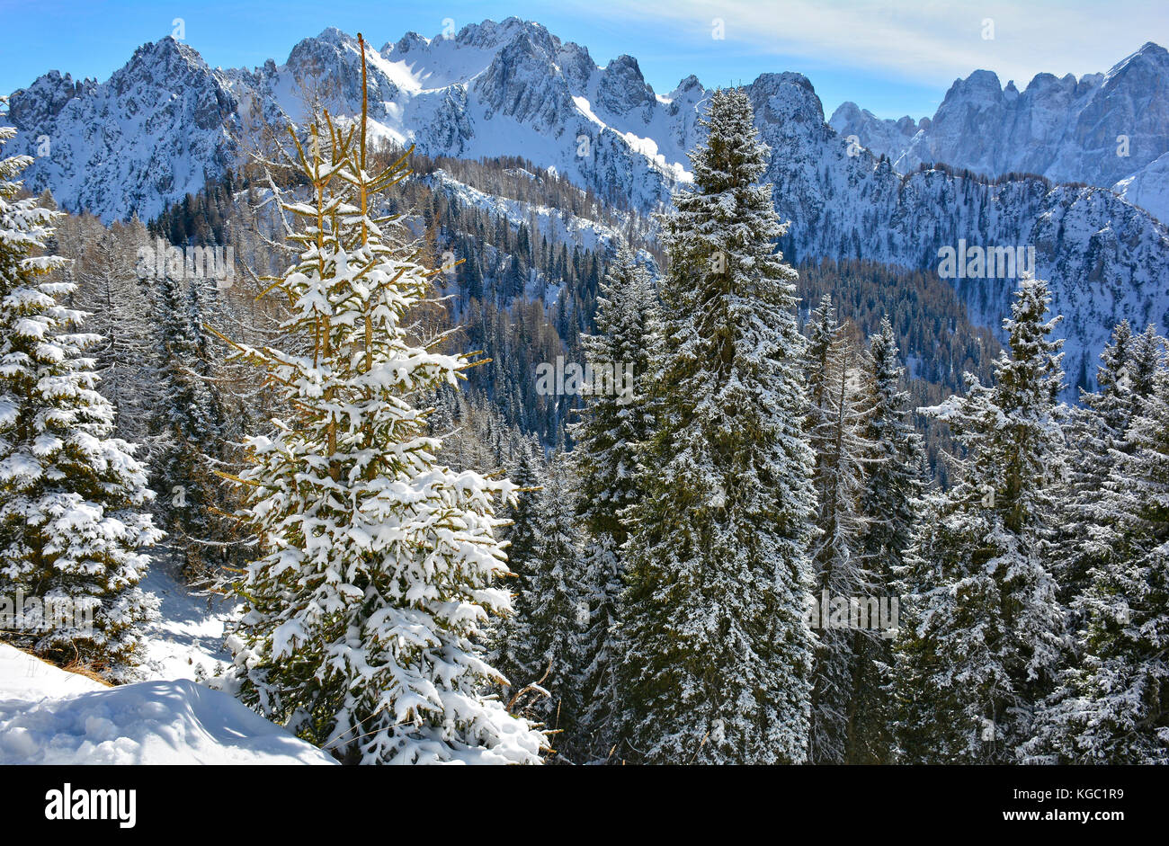 Snow covered trees on the slopes of Monte Lussari in Friuli Venezia Giulia, north east Italy Stock Photo