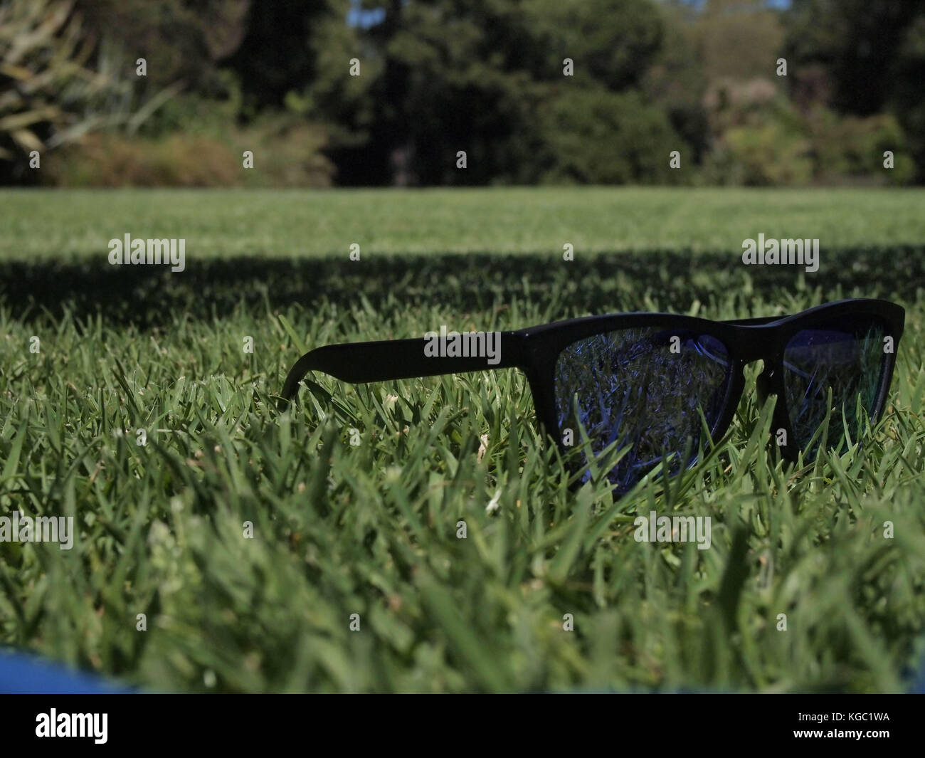 Sunglasses laying in the grass Stock Photo