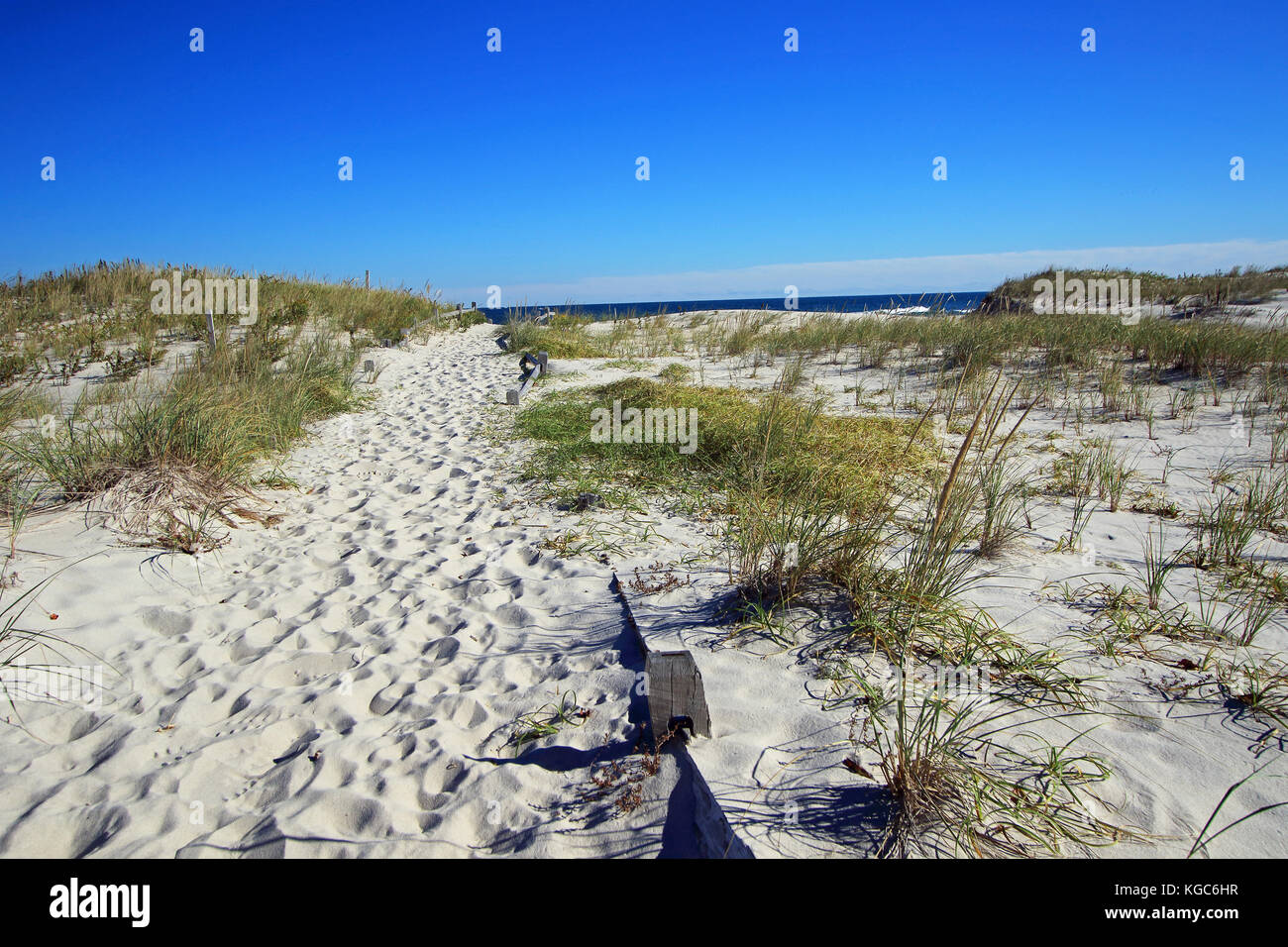 A classic weathered wooden fence lines the pathway towards to sea and through the many pristine dunes of this unspoiled Jersey Shore beach Stock Photo