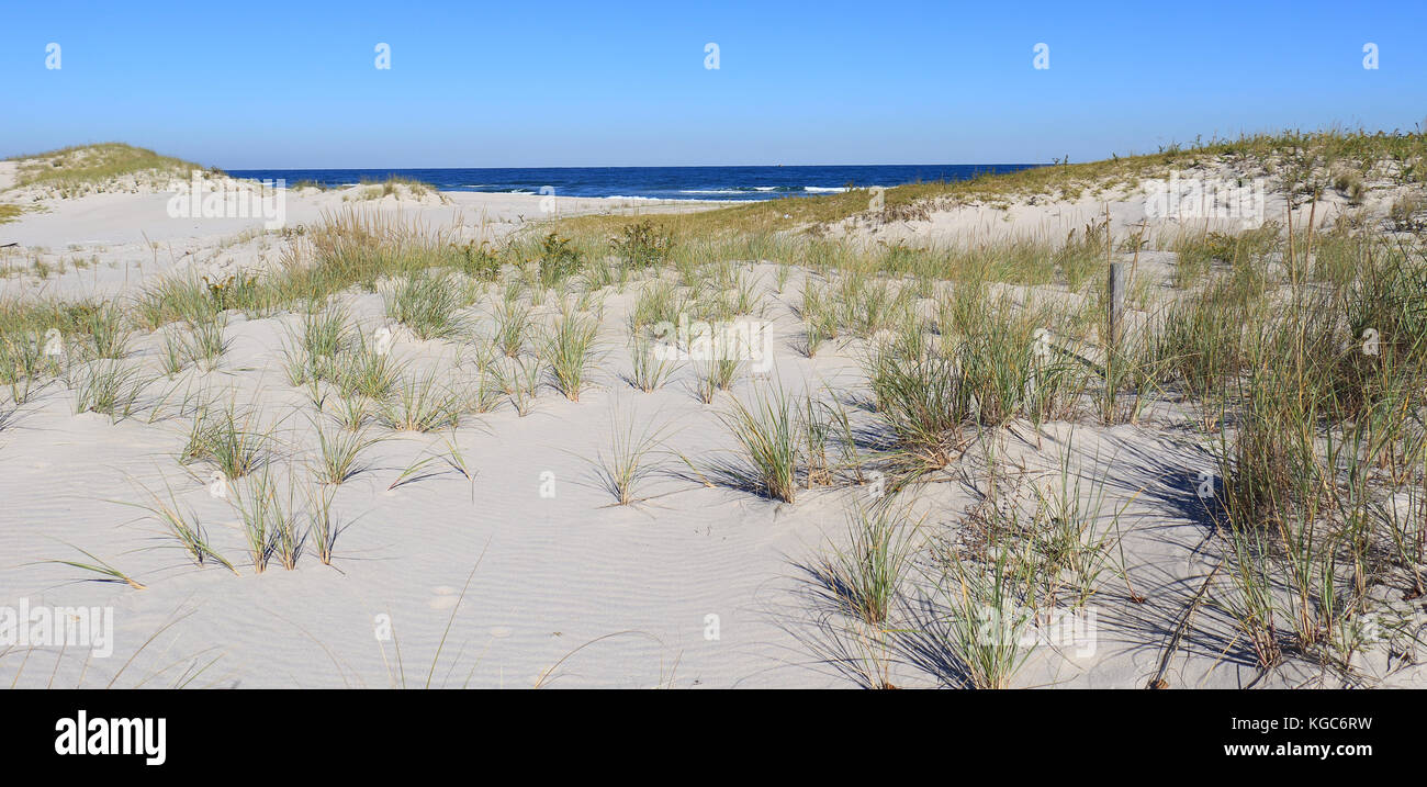These pristine, white sand dunes covered with beach grass provide the perfect foreground to the bright blue Atlantic Ocean in the background Stock Photo