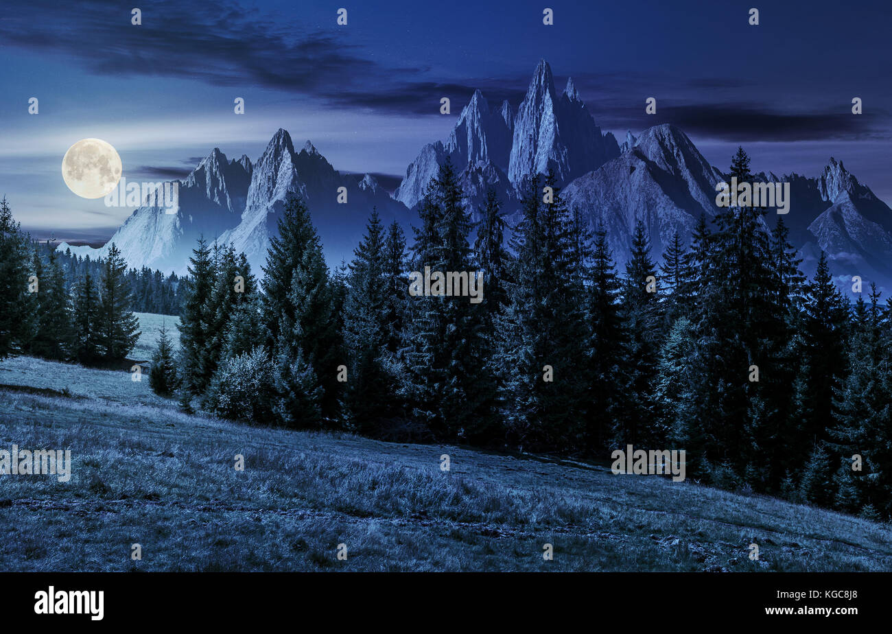 spruce forest on grassy hillside in mountains with rocky peaks at night in full moon light. gorgeous composite image of summer landscape. strengths an Stock Photo