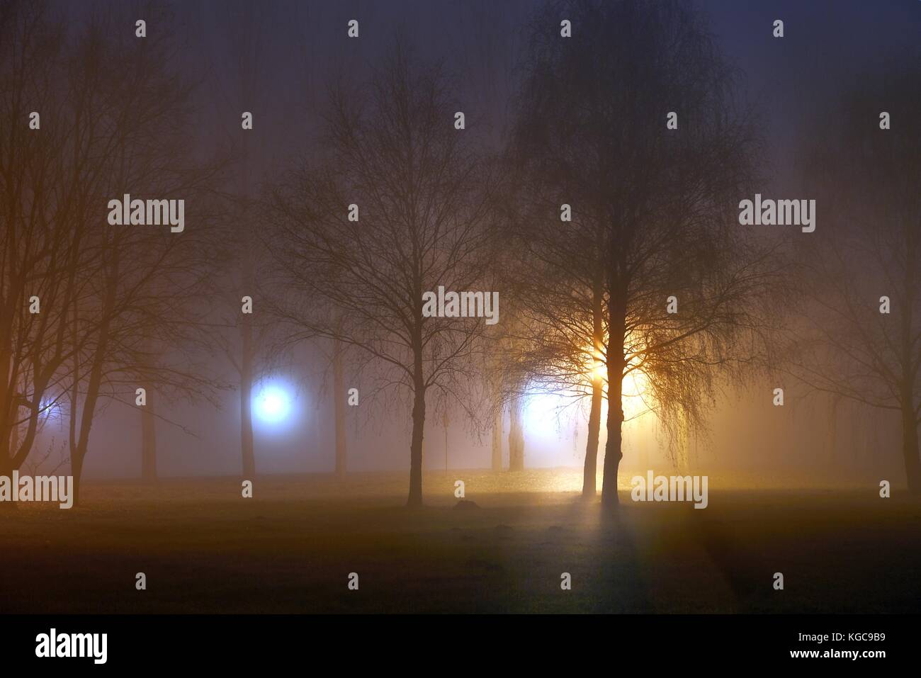 Foggy Mysterious Night Stock Photo - Alamy