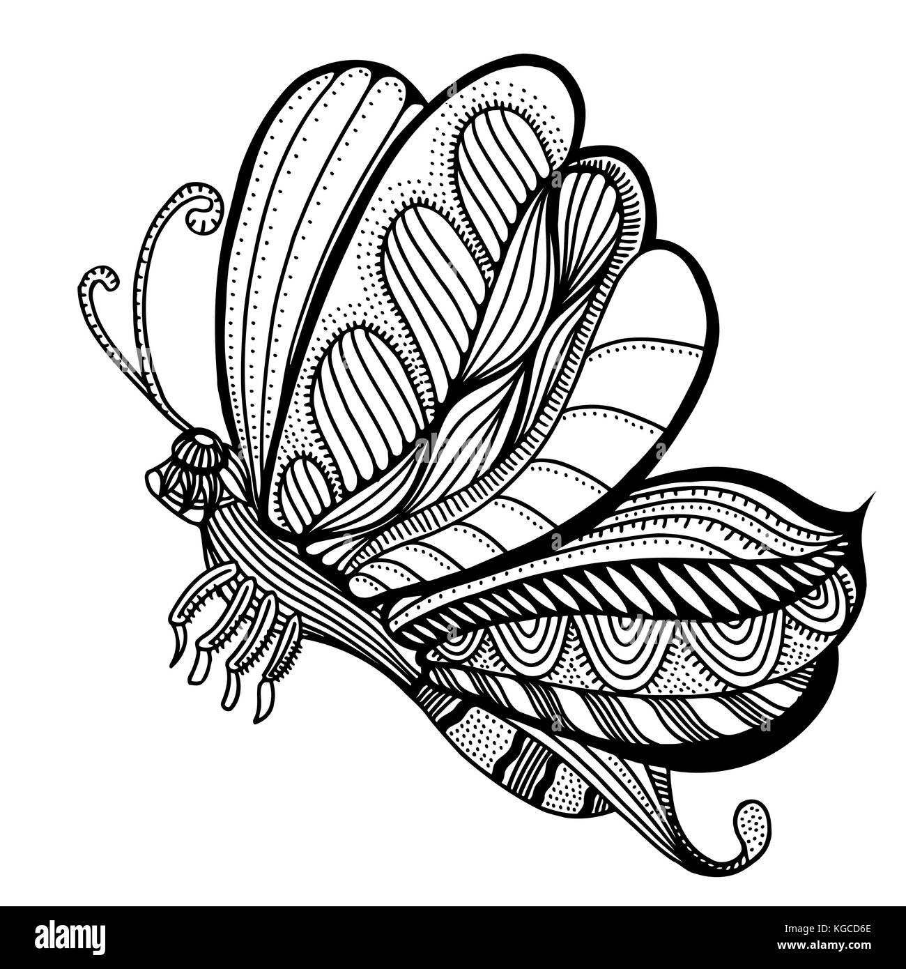 butterfly sketch. Hand drawn vector illustration. Isolated on white
