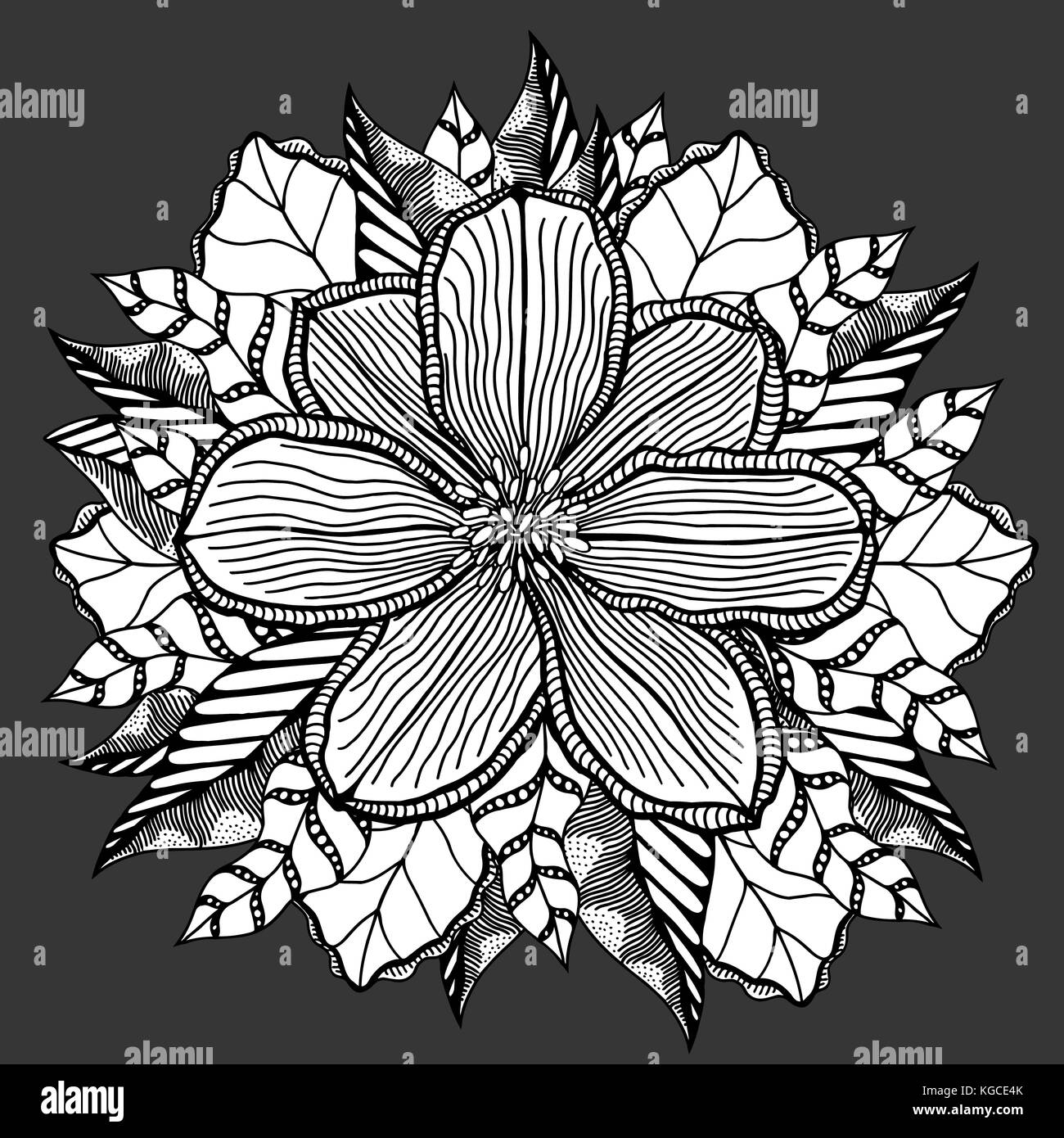 Zentangle rose hi-res stock photography and images - Alamy