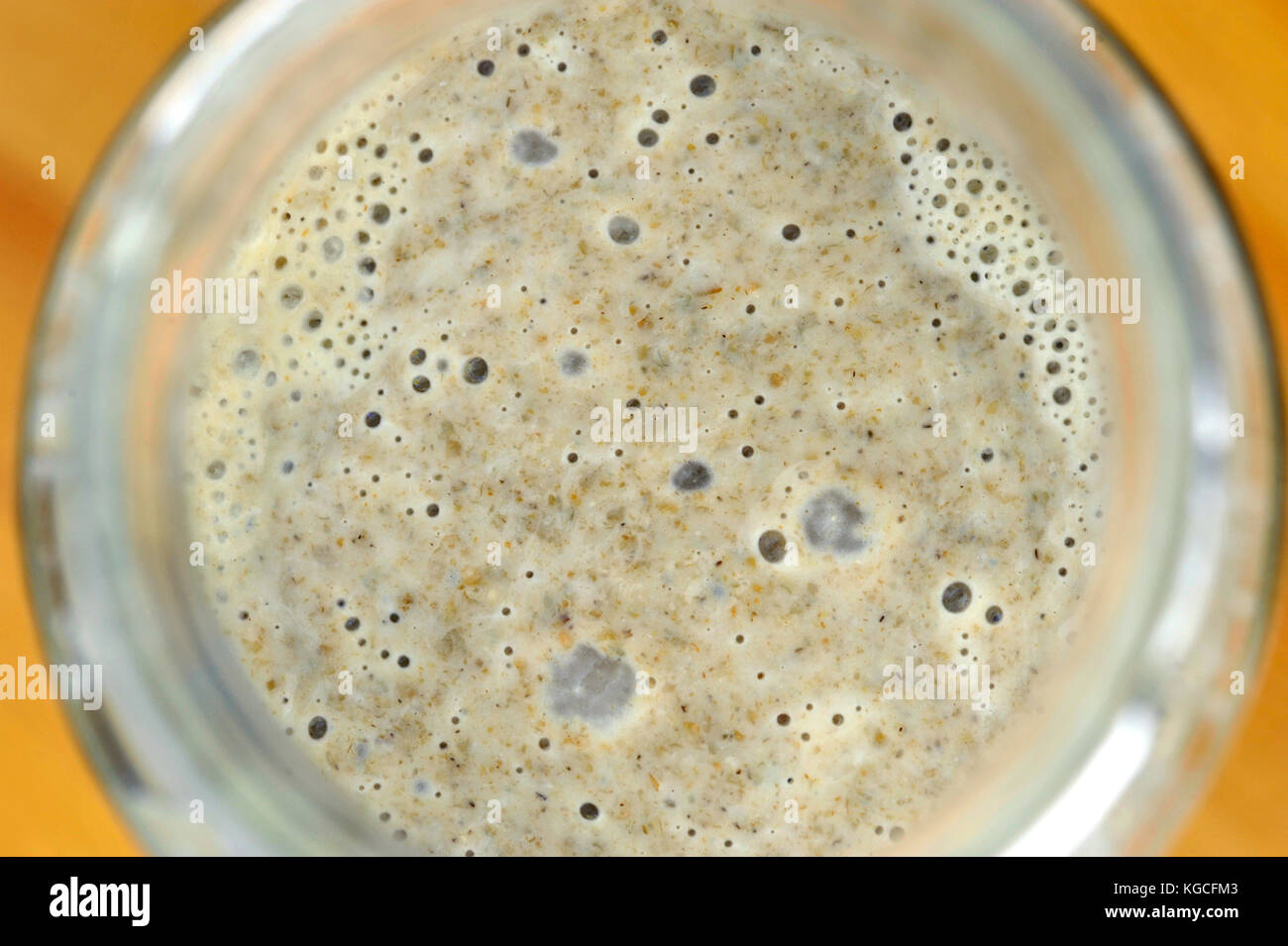 Natural yeast wholemeal sourdough starter culture used to raise doughs