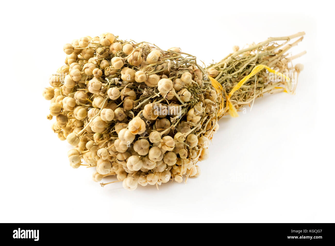 Dried Harmal on a white background Stock Photo
