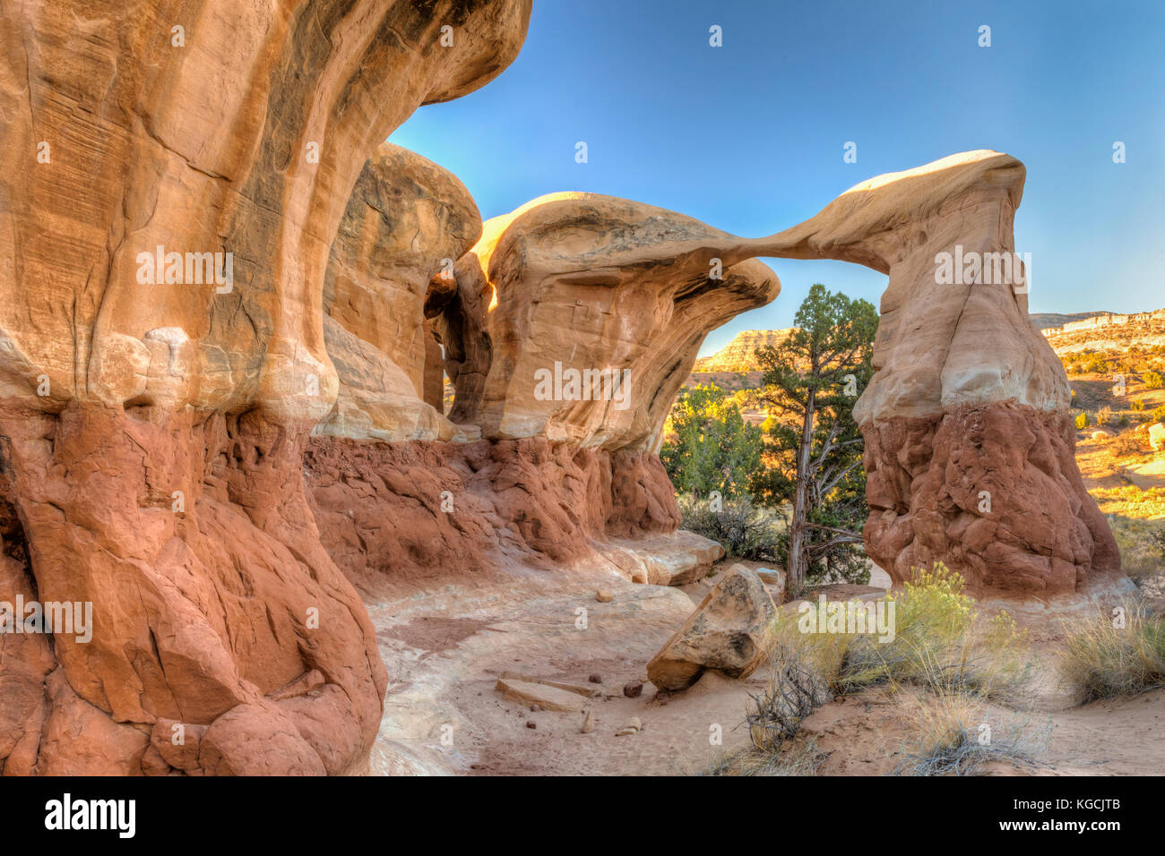 Devils garden hotsell grand staircase