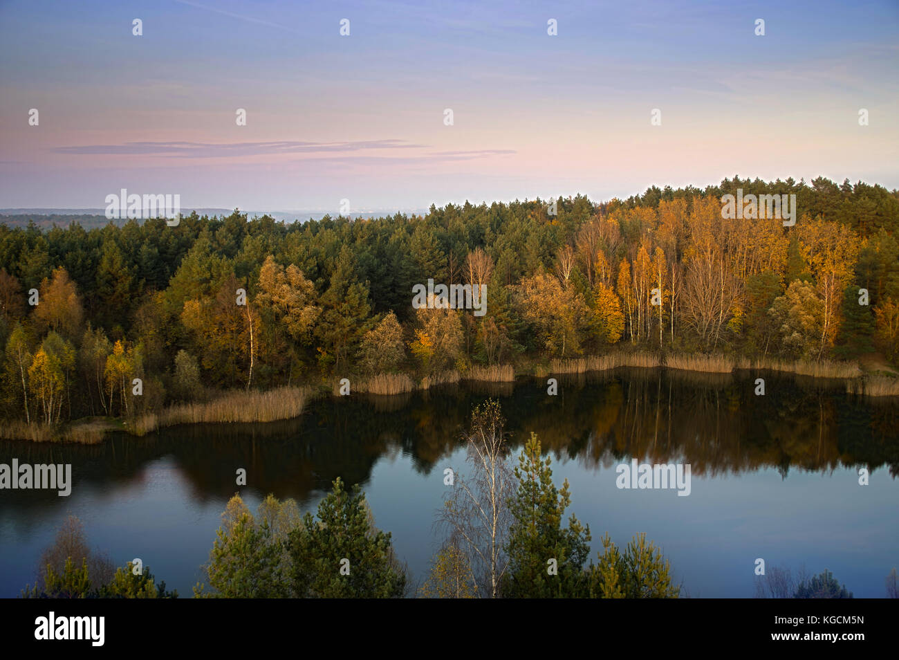 Golden autumn trees in forest on shore of the lake. Typical seasonal view with reflection in water. Stock Photo