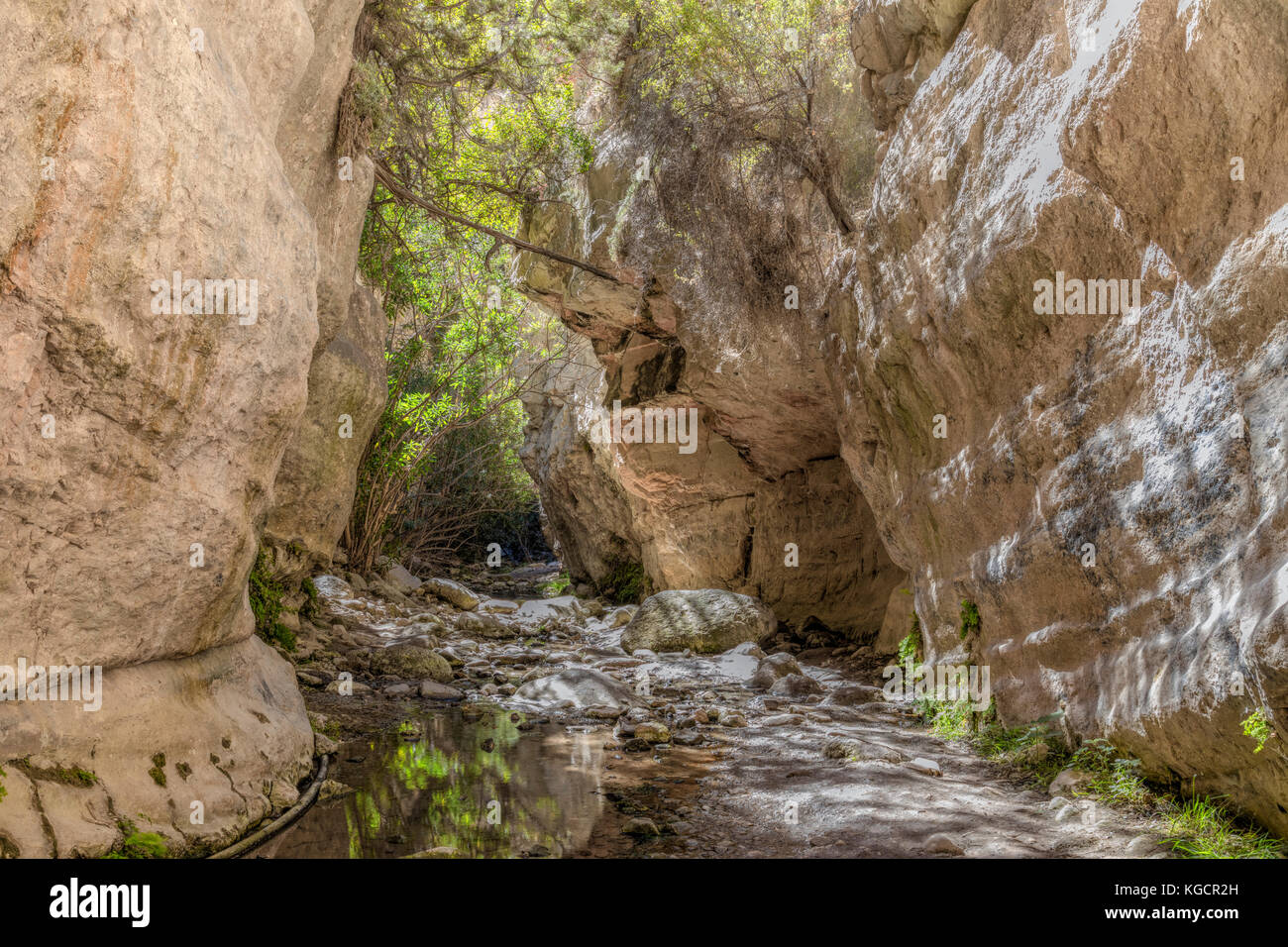 Avakas Gorge, Akamas, Paphos, Cyprus Stock Photo