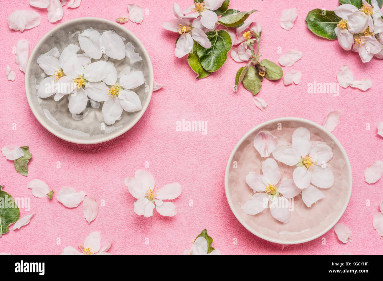 Spa or wellness pink background with blossom and water bowl with white flowers, top view. Spring blossom background Stock Photo