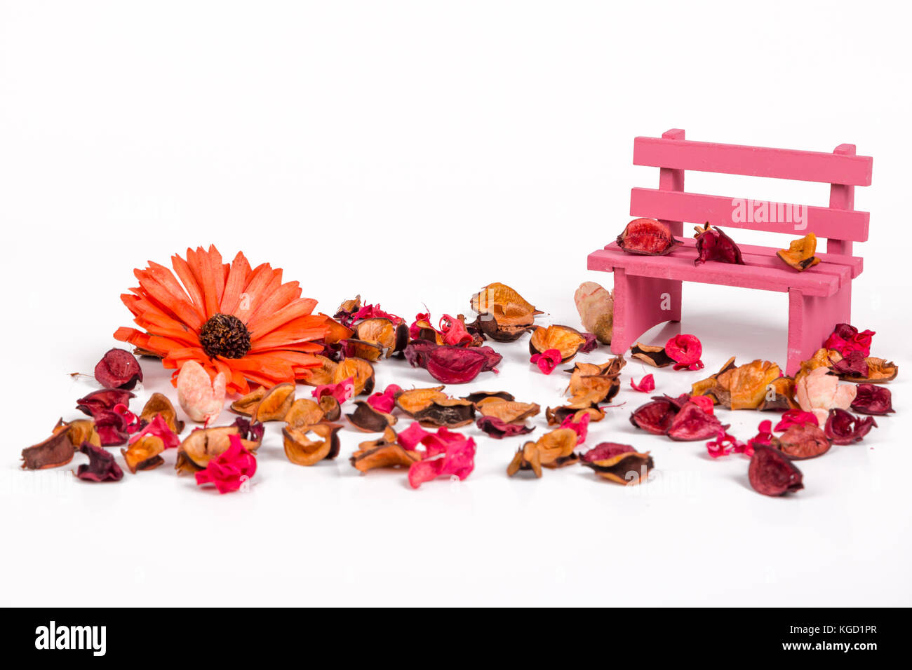 Close up detailed view of pink bench, dried flowers and leaves around