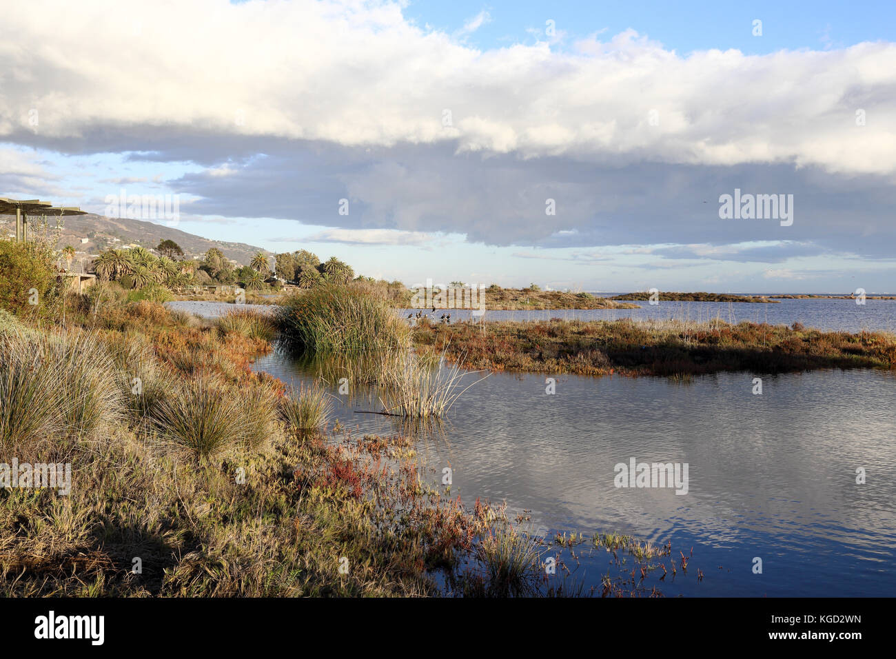 peaceful late afternoon at Malibu Lagoon state beach, Malibu California Stock Photo