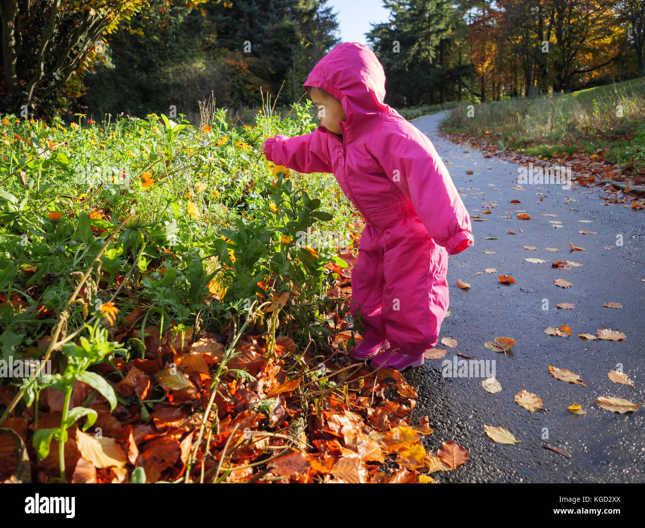 Baby girl playing at Autumn forest Stock Photo - Alamy