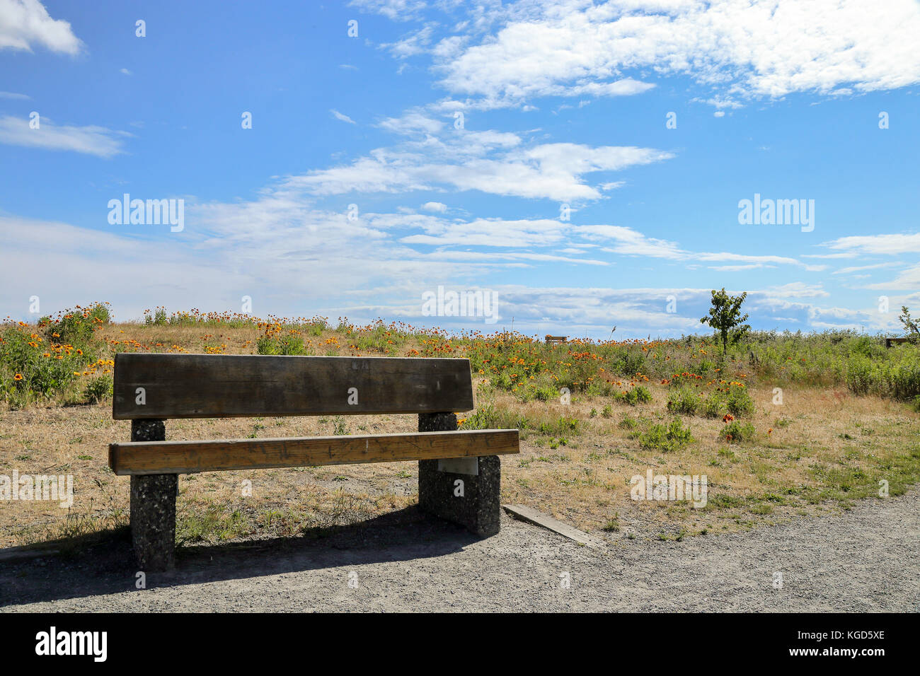 An outdoor bench at  Garry point park, Richmond BC, Canada on a sunny afternoon with sunflower field behind Stock Photo