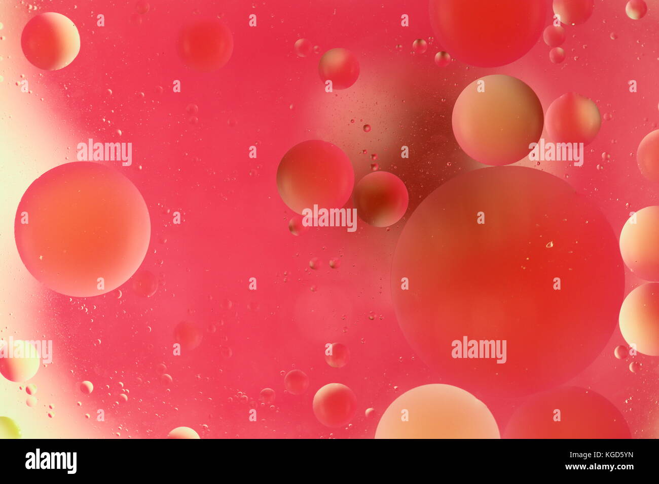 abstract image of oil circles on water Stock Photo