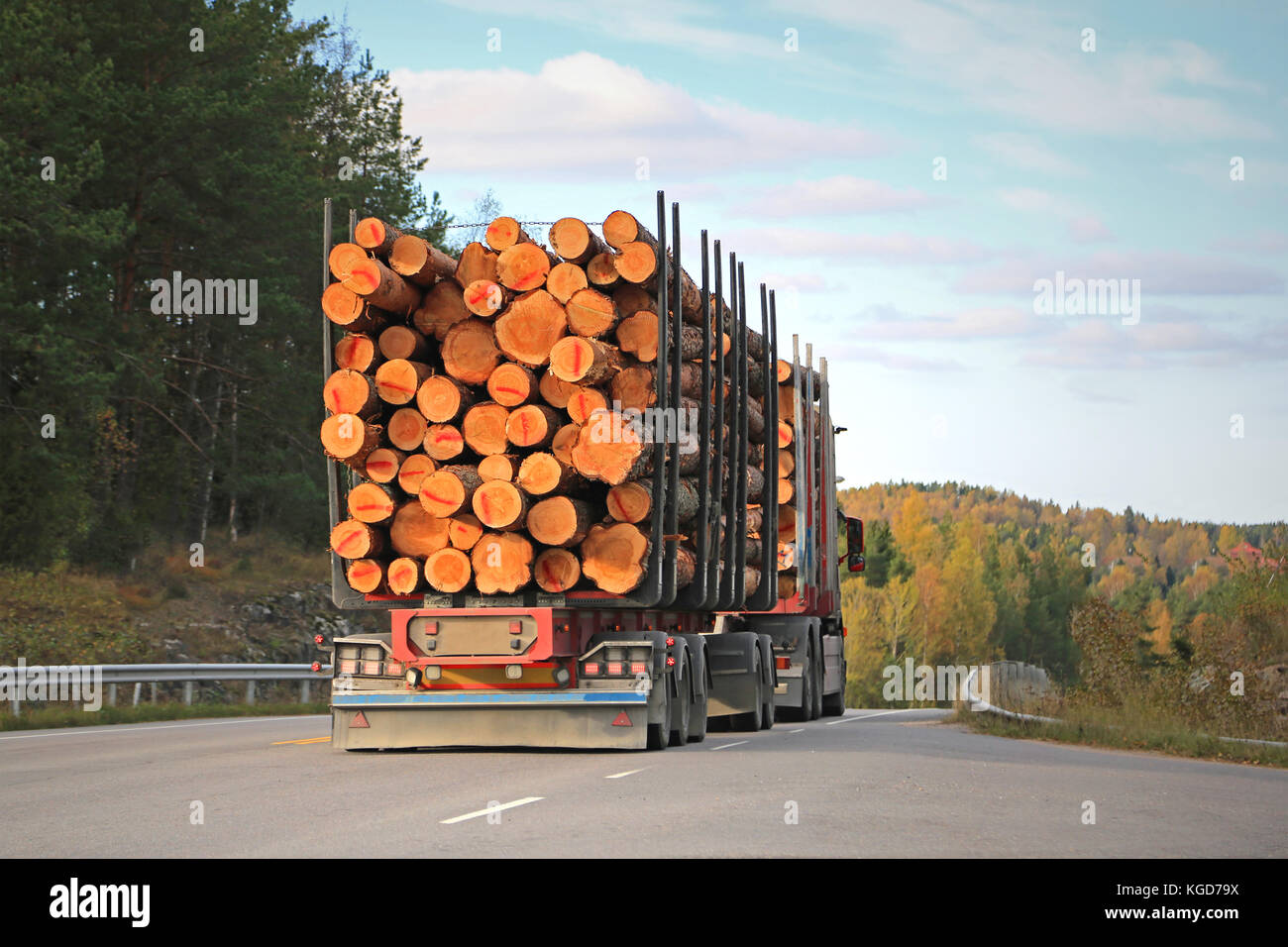 Rear view of logging truck on rural road with full load of timber Stock