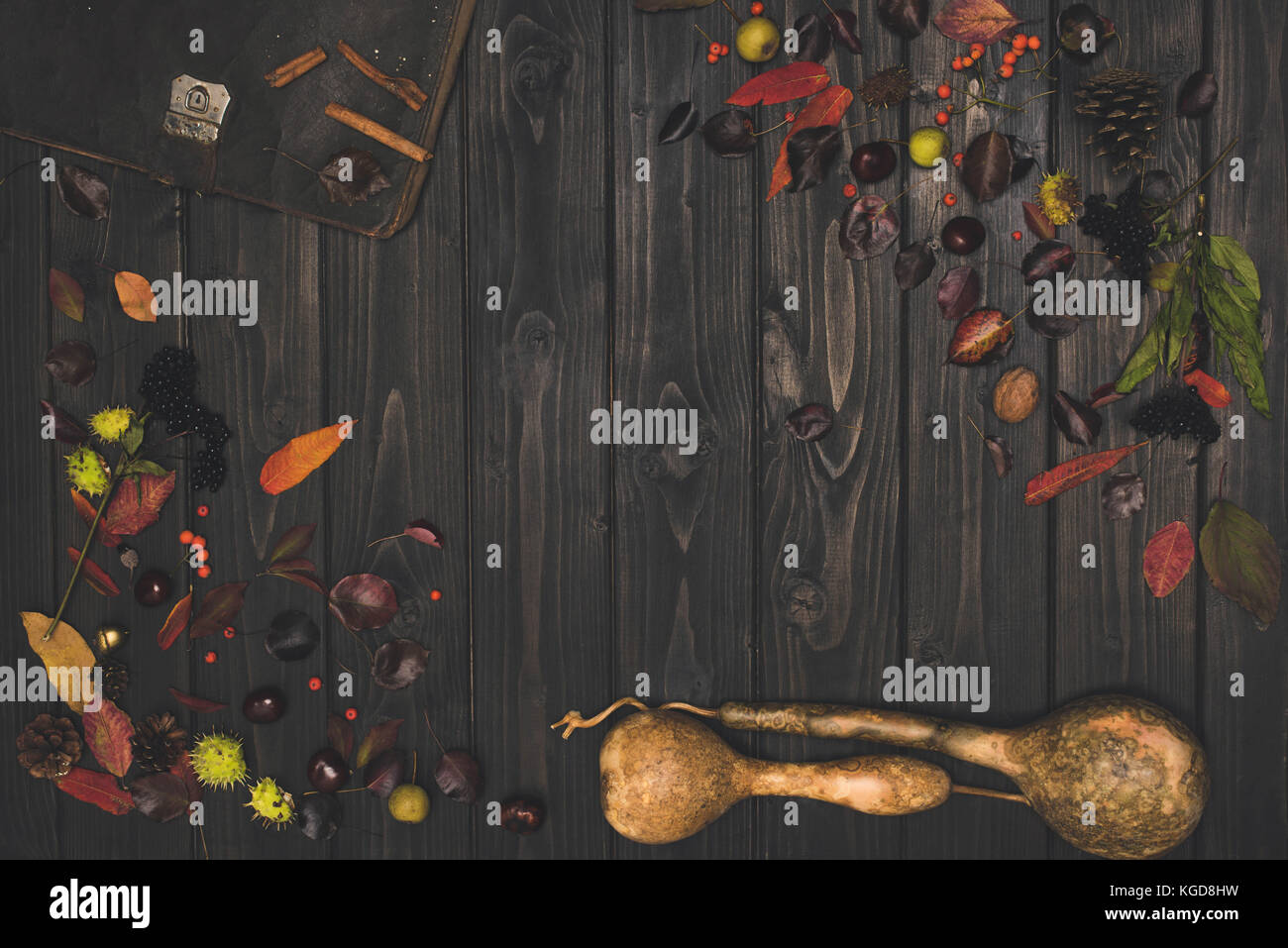 dried autumn leaves and pumpkins Stock Photo - Alamy