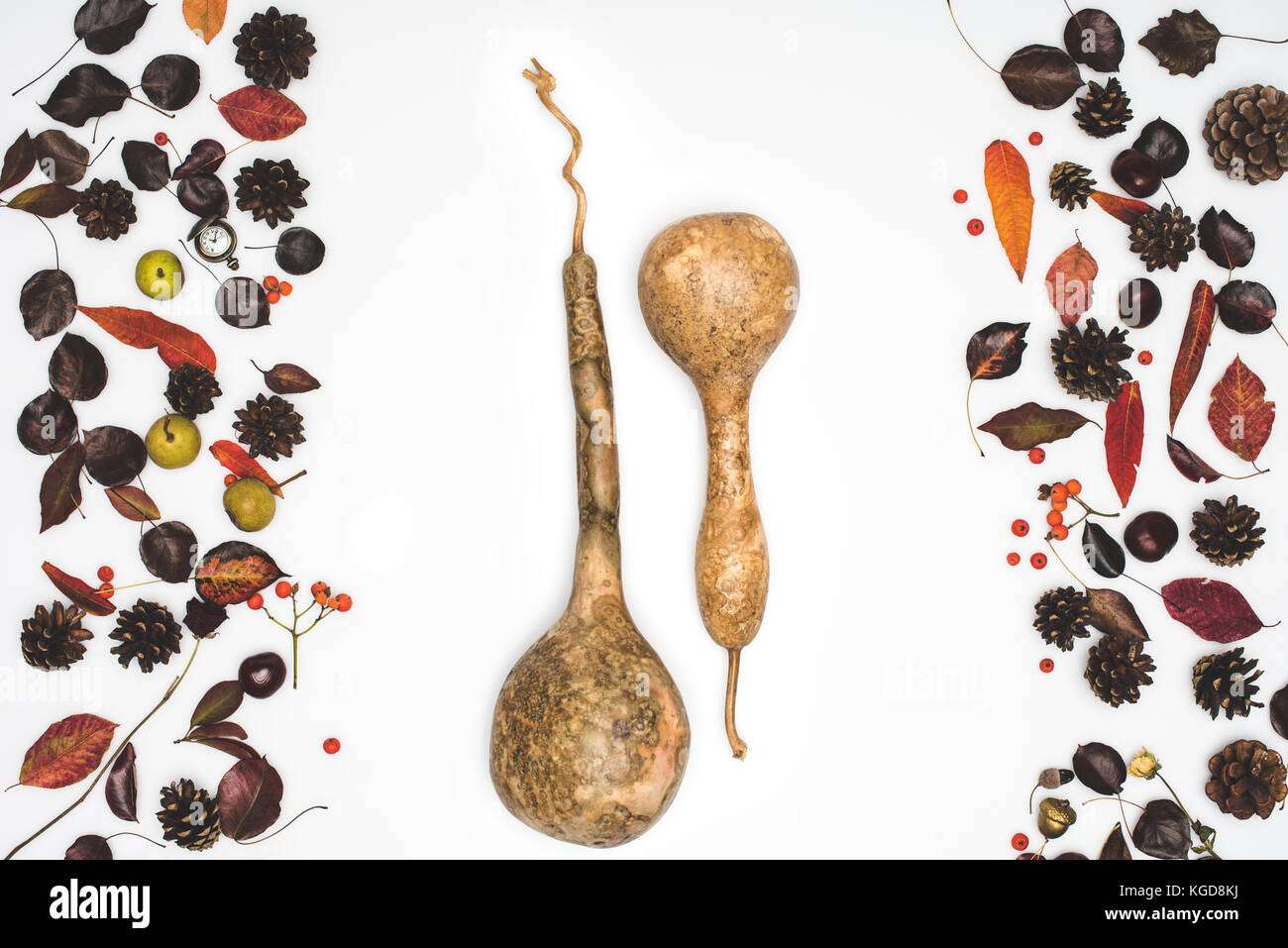 dried autumn leaves and pumpkins Stock Photo - Alamy