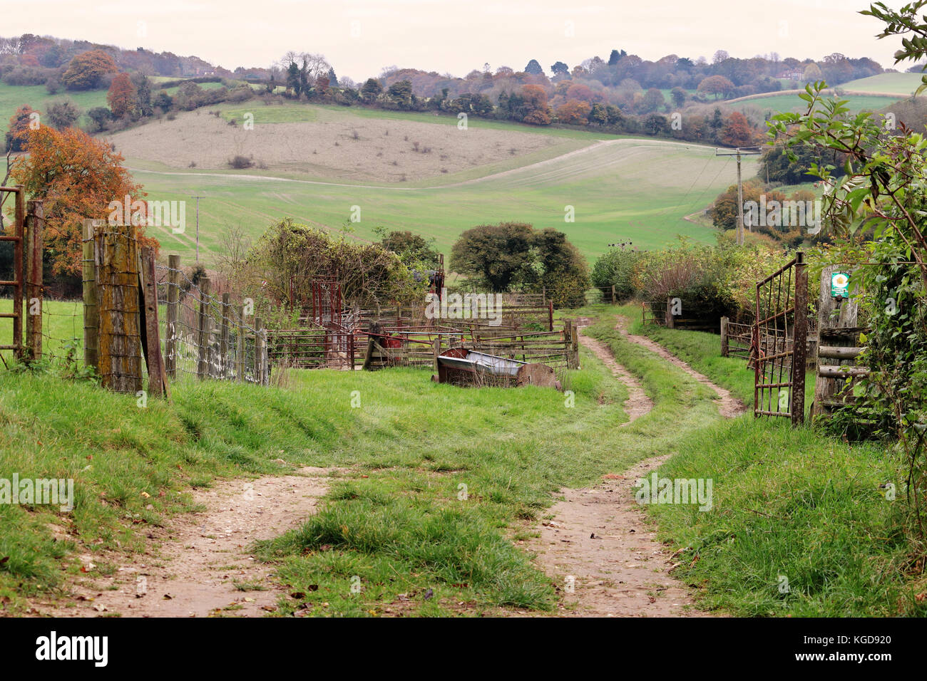 Autumn Landscape in the Chiltern Hills in England with Farm track
