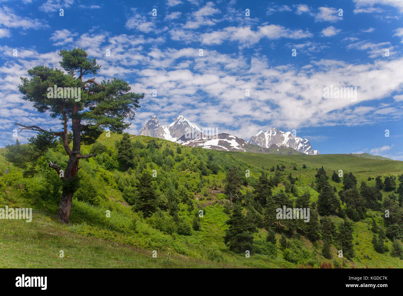 Georgian mountains Svaneti Caucasus Stock Photo