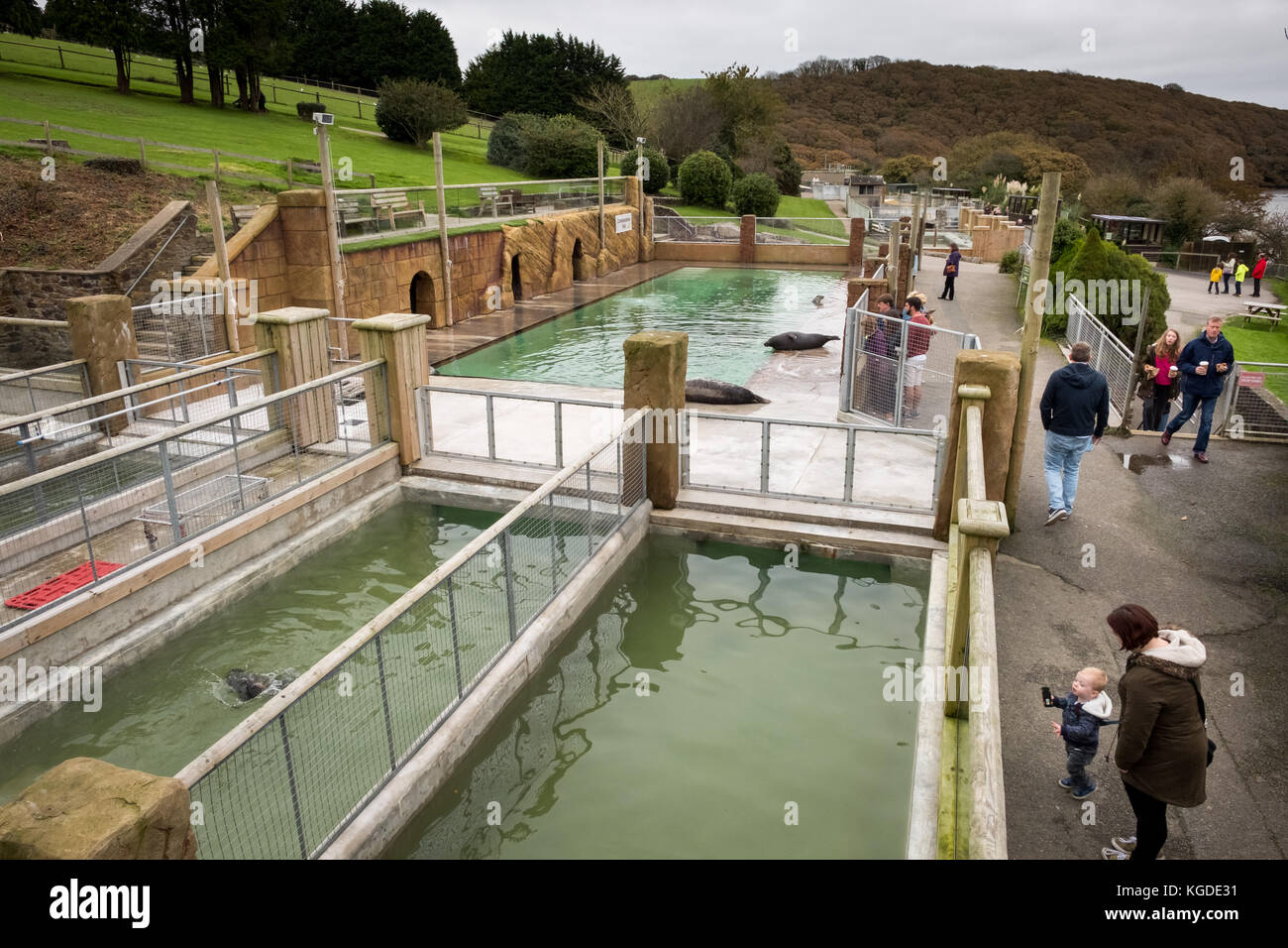 October 2017, visitors enjoy a day out at The Cornish Seal Sanctuary ...