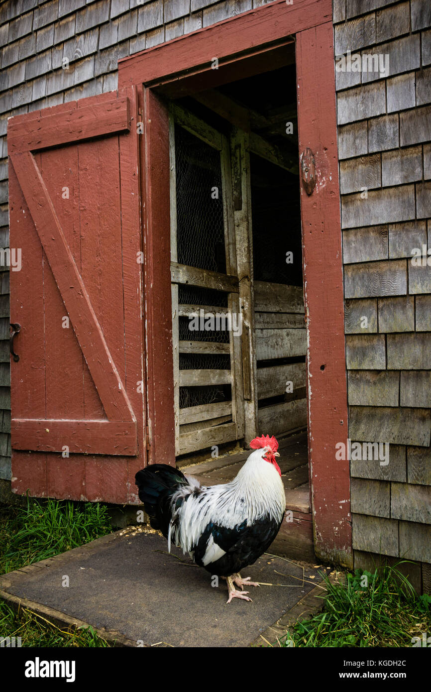 The Ross Farm Museum is a living heritage farm in New Ross, Nova Scotia