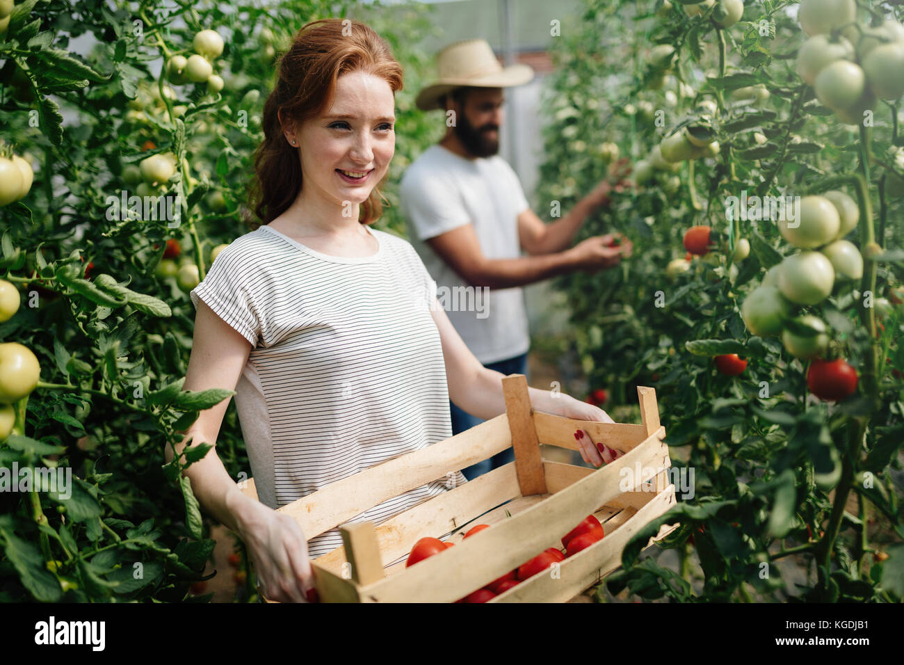 Attractive happy female farmer working in greenhouse Stock Photo - Alamy