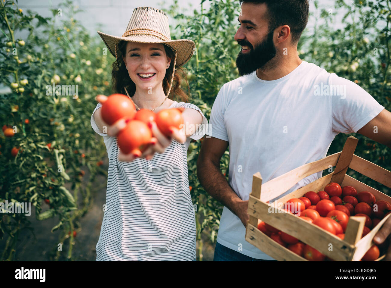 Young couple of farmers working in greenhouse Stock Photo - Alamy