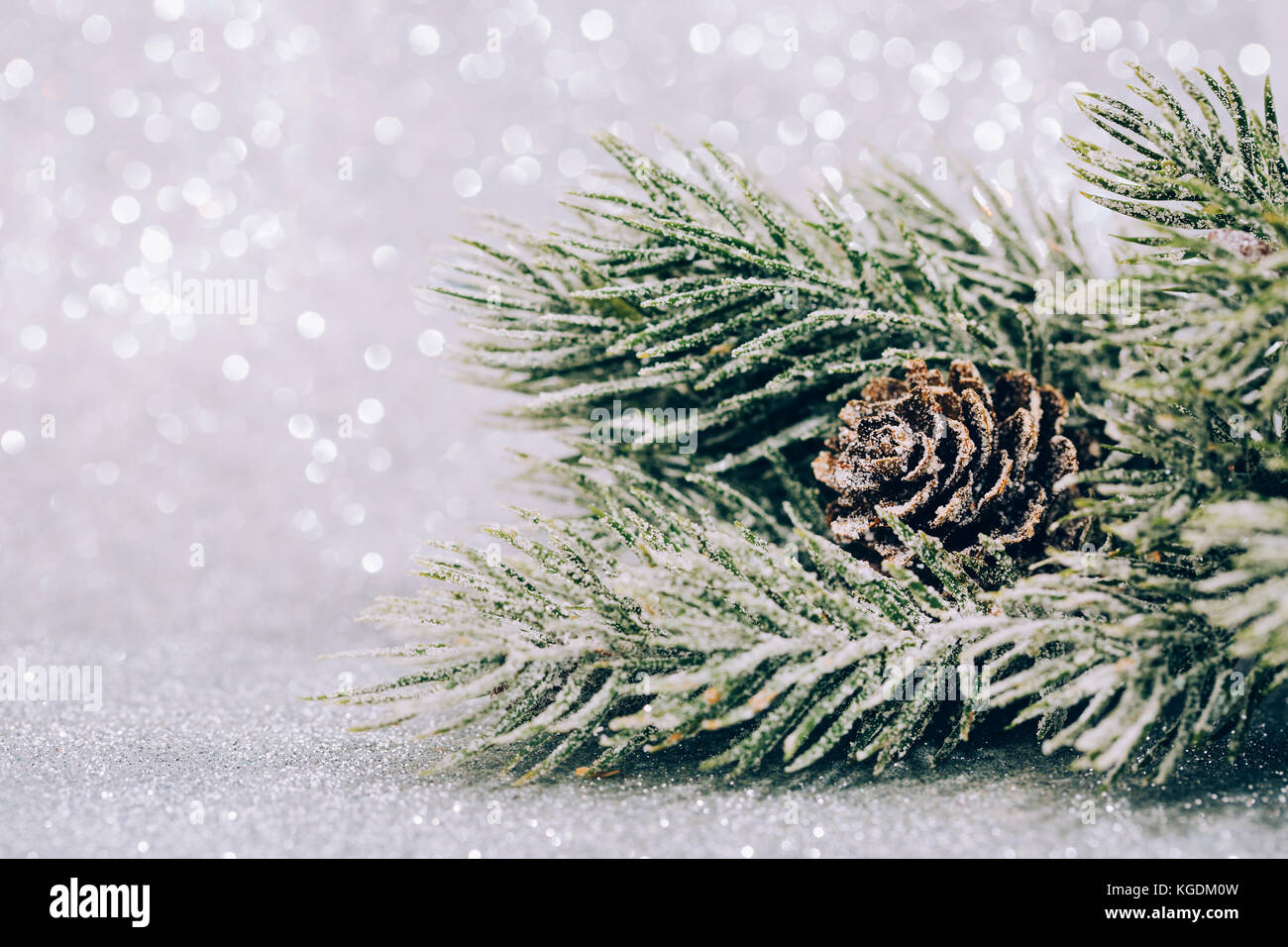 Christmas fir branch with pine cone Stock Photo - Alamy