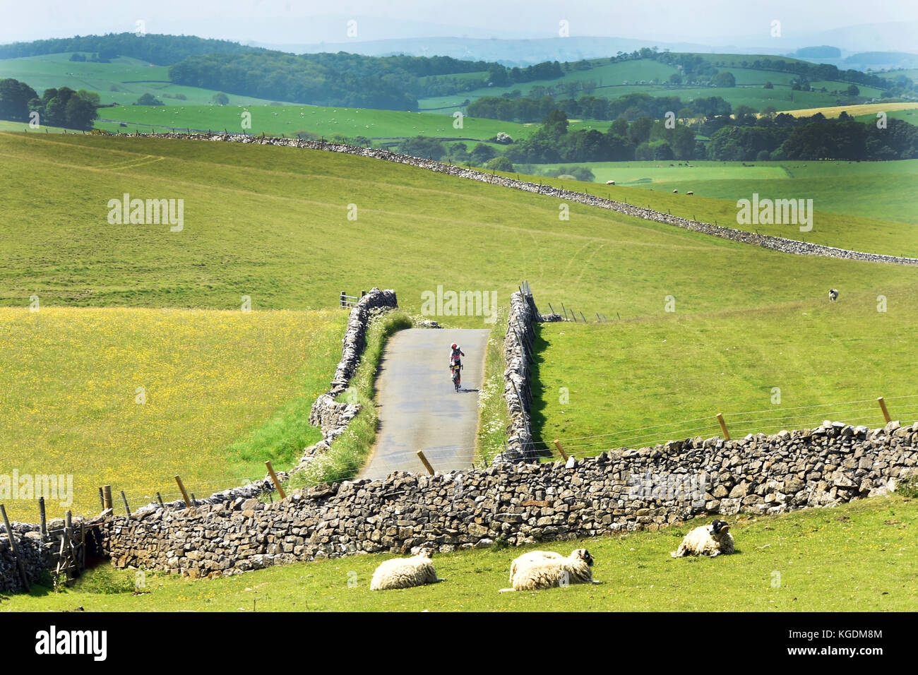 cyclist riding a bike in the Yorkshire Dales landscape UK Stock Photo