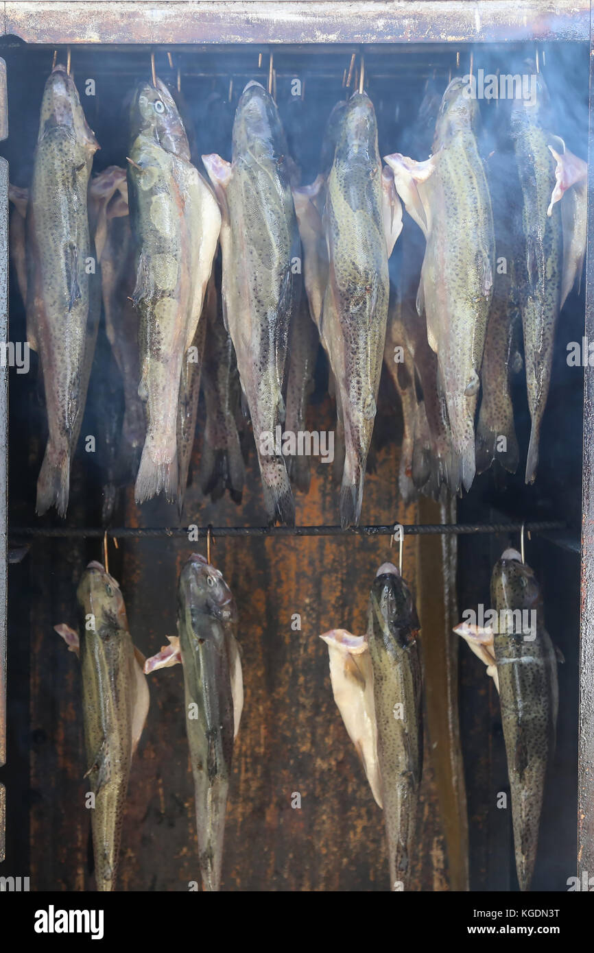 Smoking of fish / The process of smoking fish Stock Photo Alamy